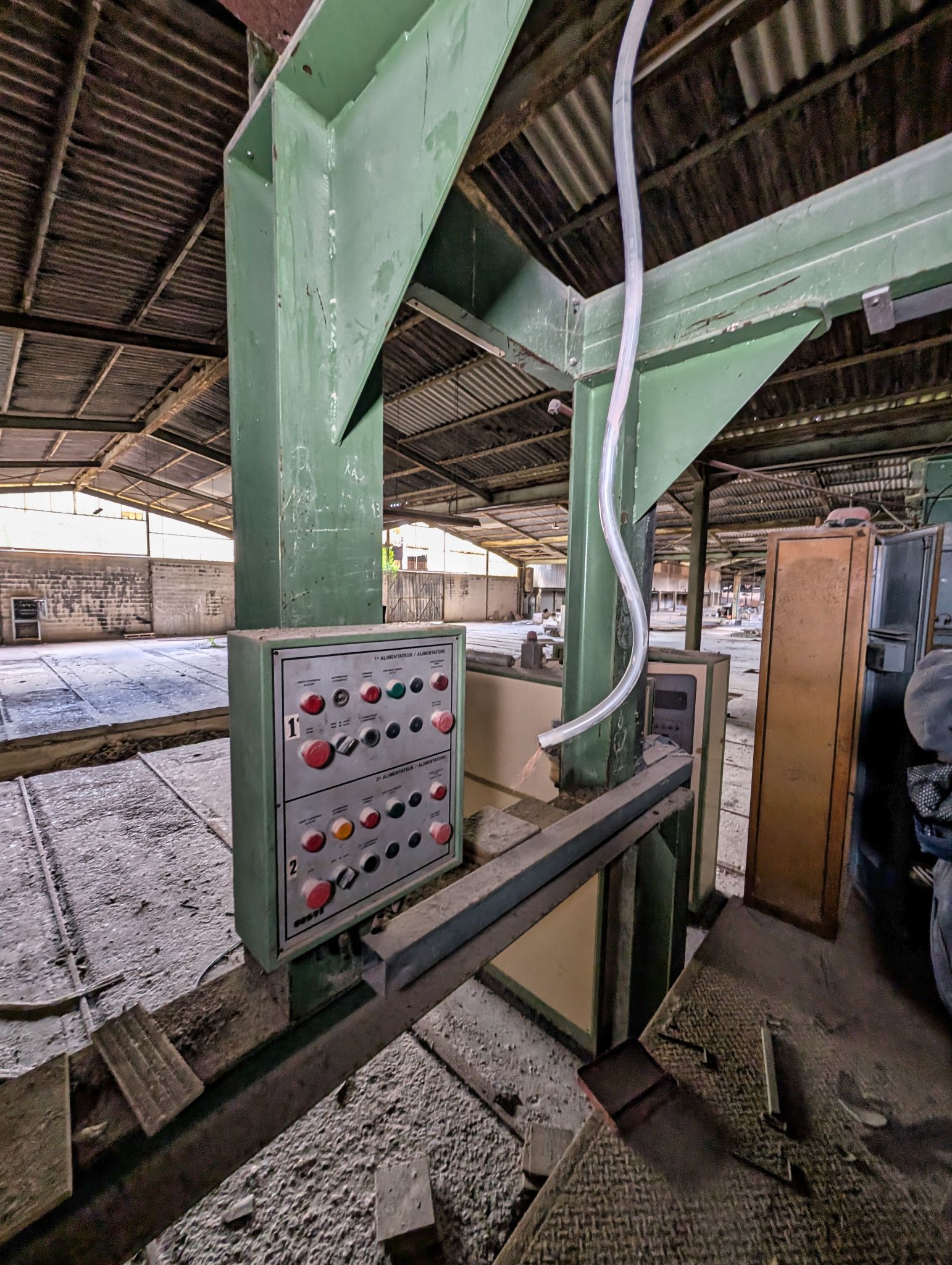 PXL 20251005 113726781