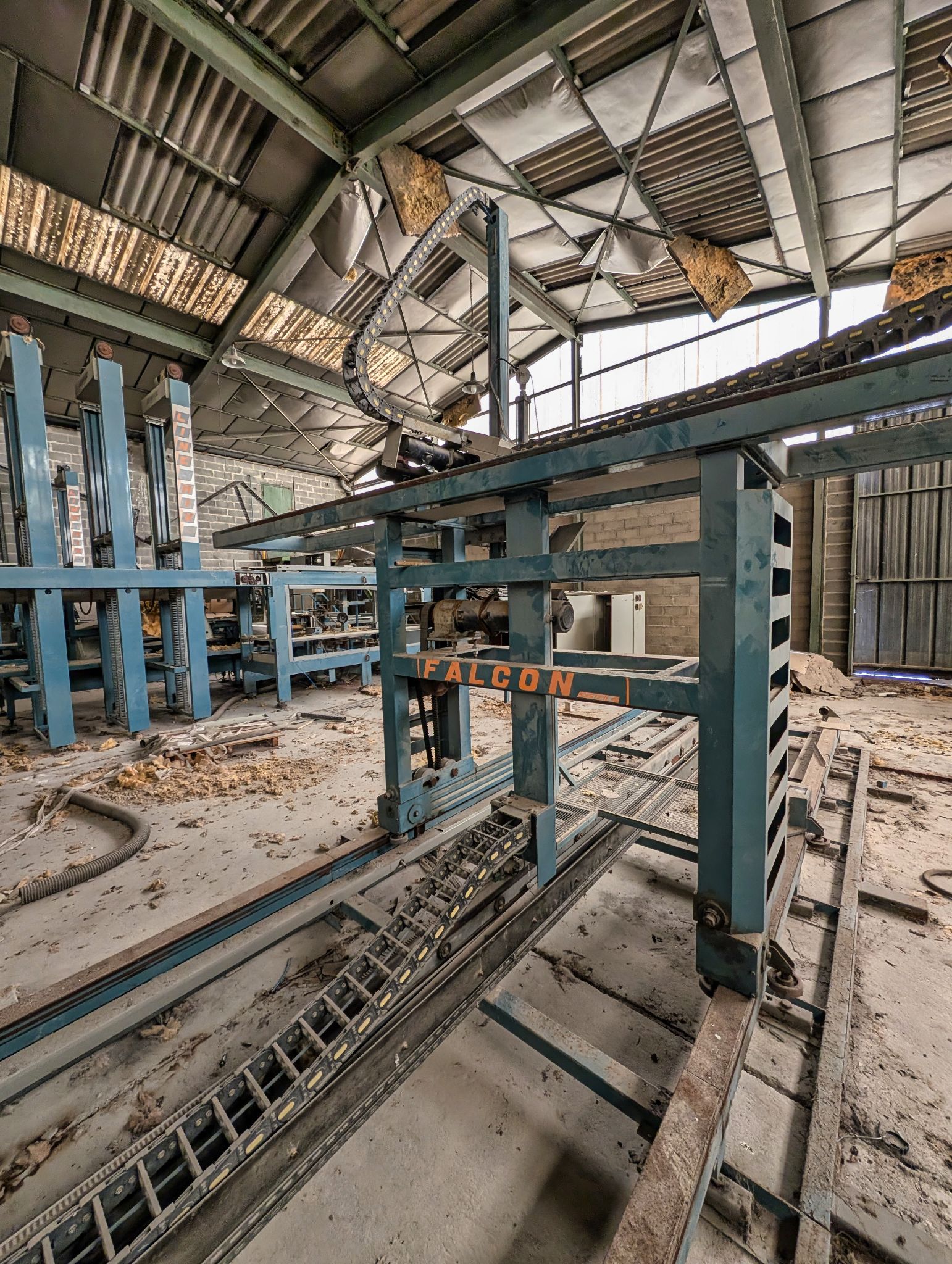 PXL 20251005 114003894