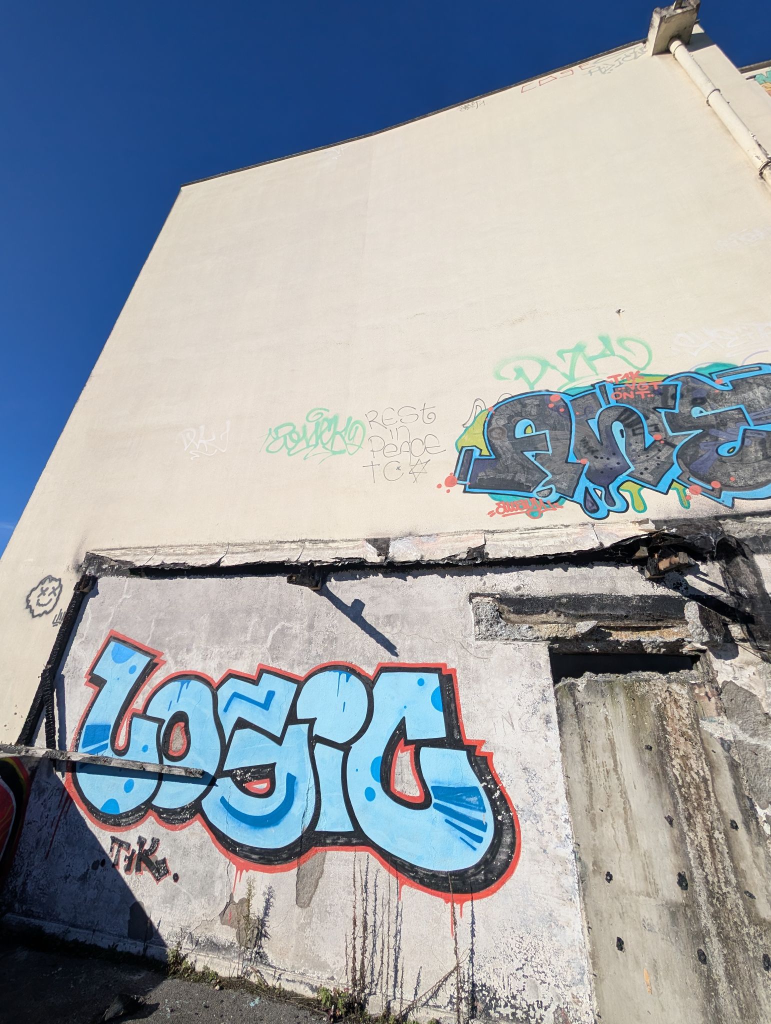 PXL 20251122 124015352