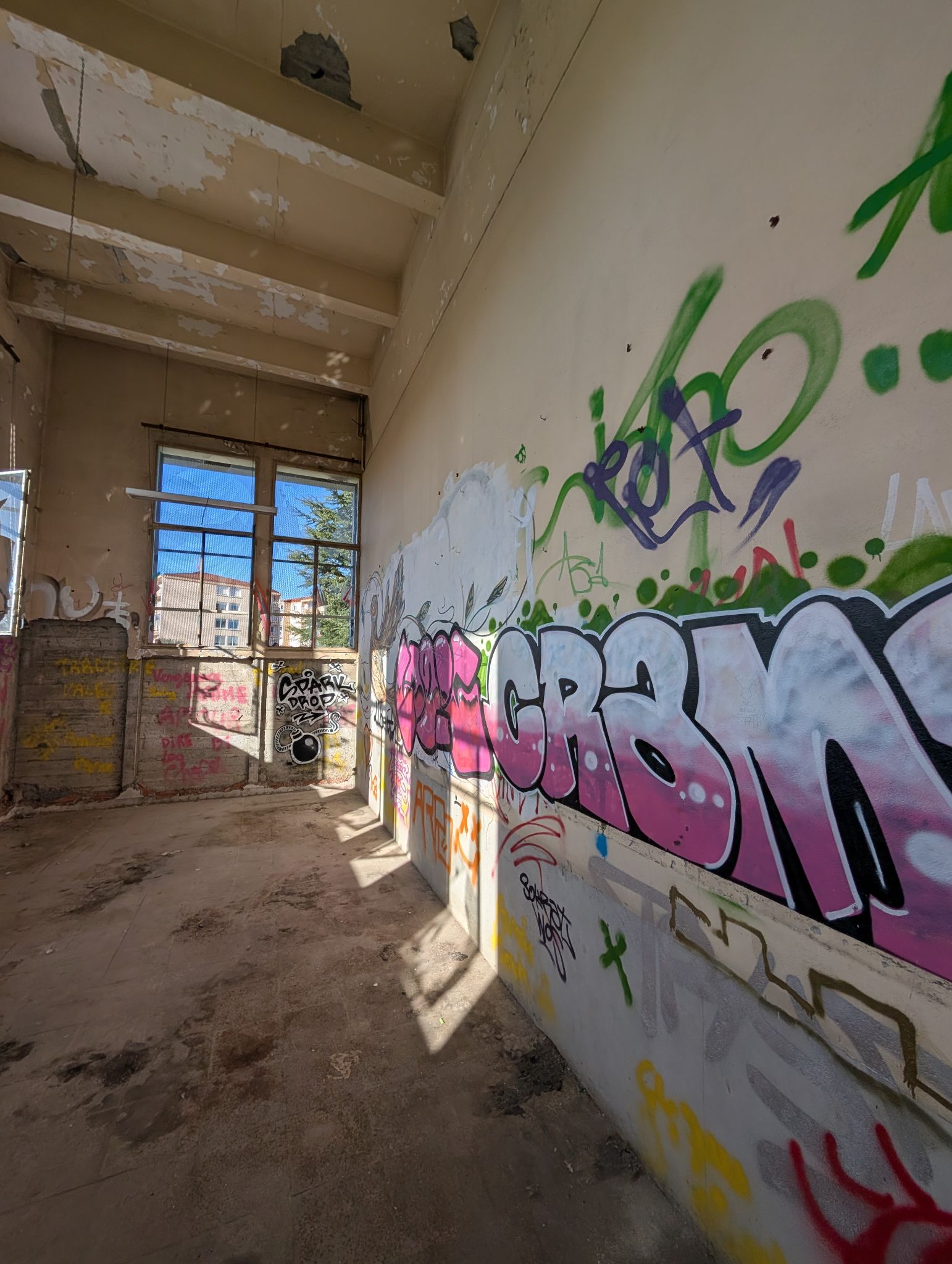 PXL 20251122 124843675