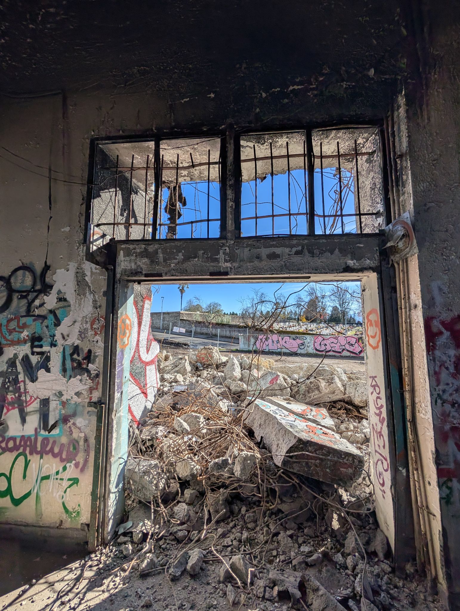 PXL 20251122 125002494