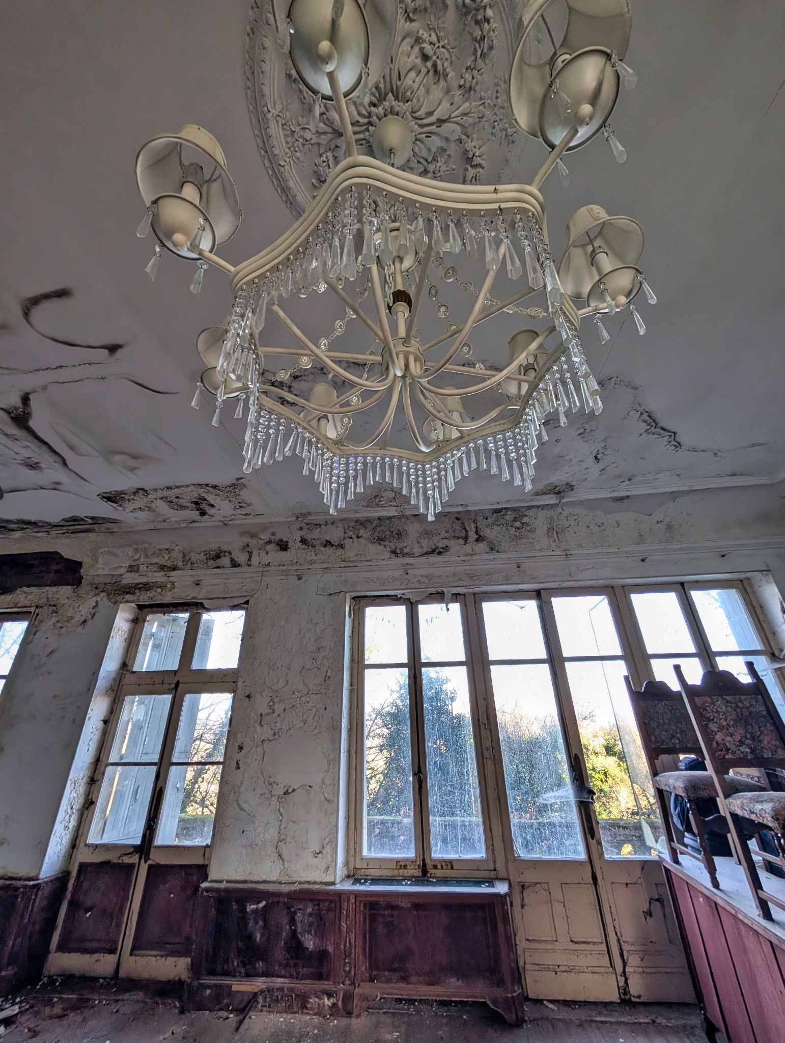 PXL 20251228 130034157