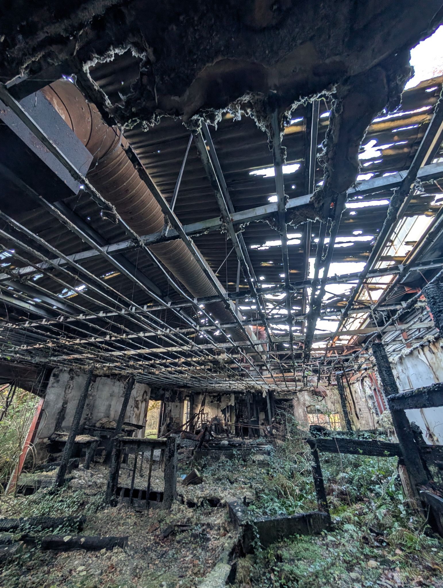 PXL 20251212 151322806.MP