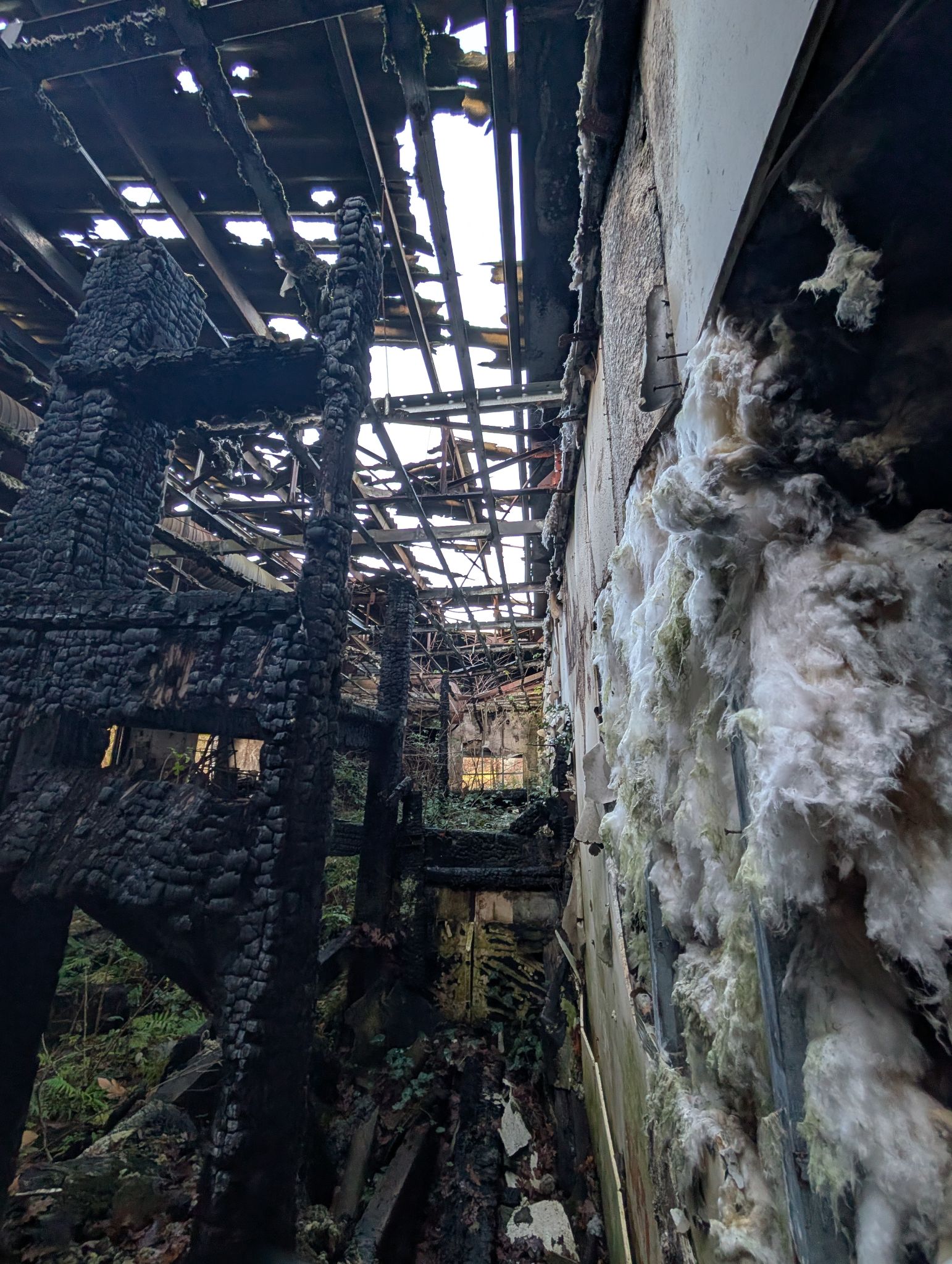 PXL 20251212 151355681