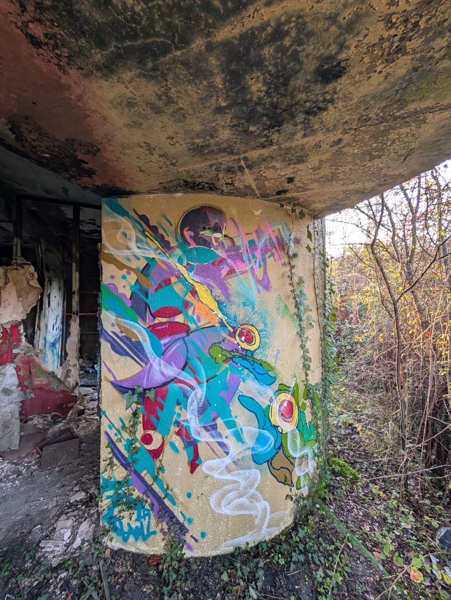 PXL 20251212 151724451.MP