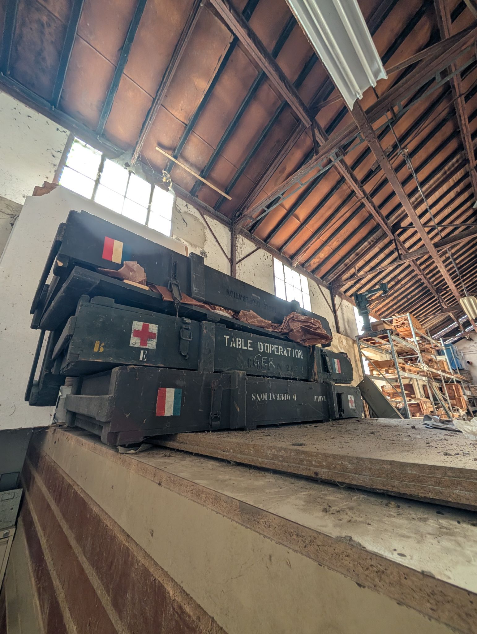 PXL 20251212 131051399