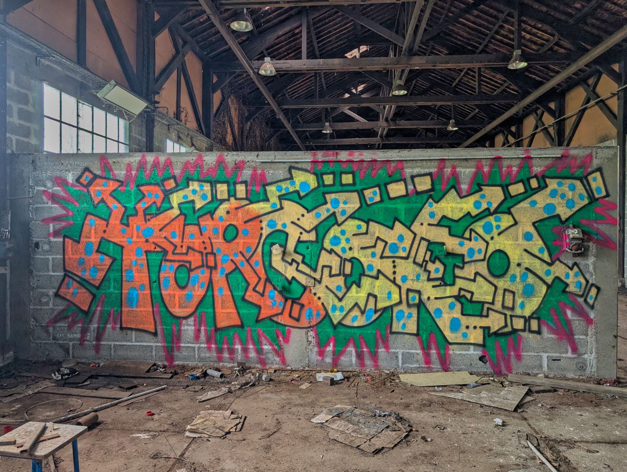 PXL 20250427 091432851