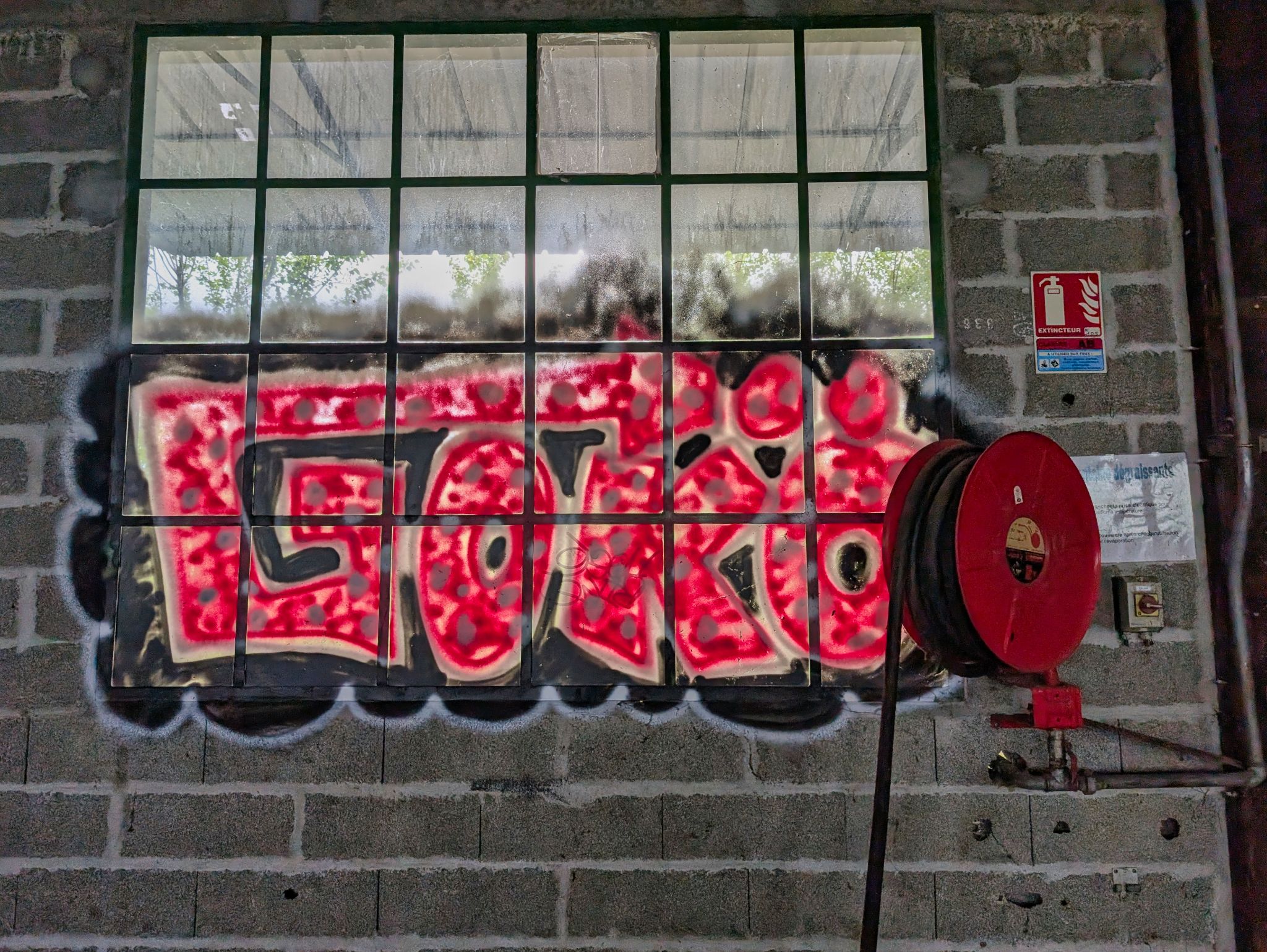 PXL 20250427 091450754