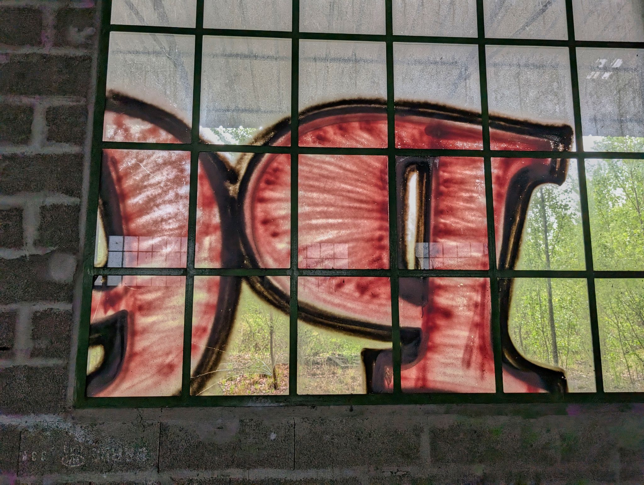 PXL 20250427 091541094