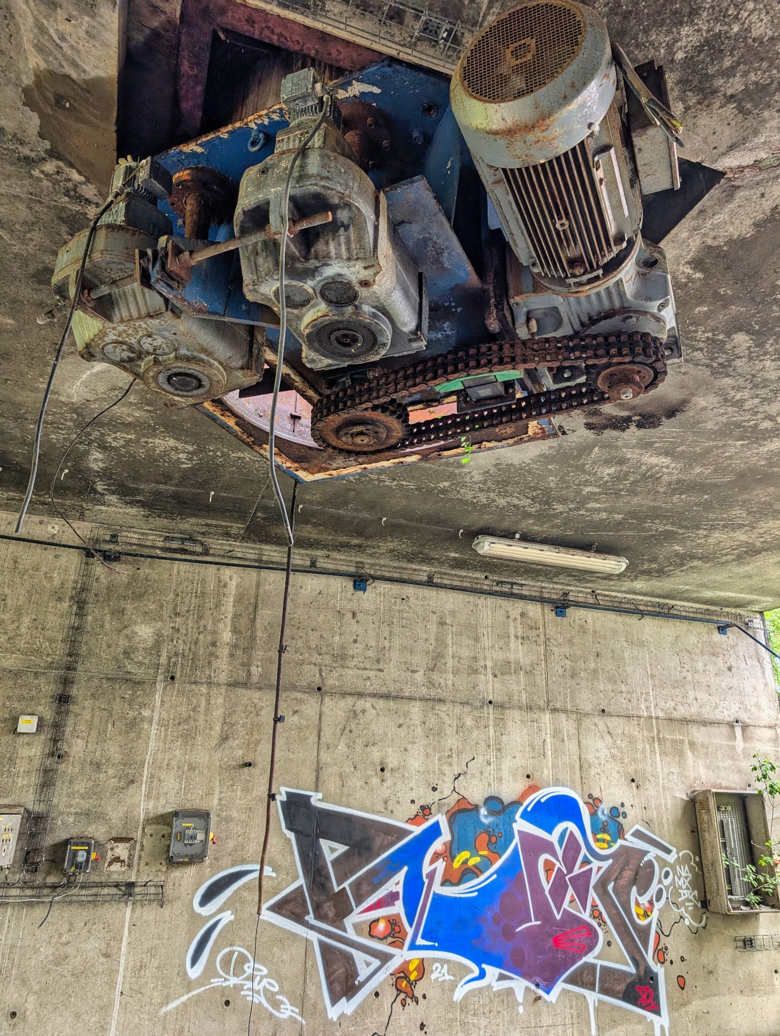 PXL 20250427 094859076