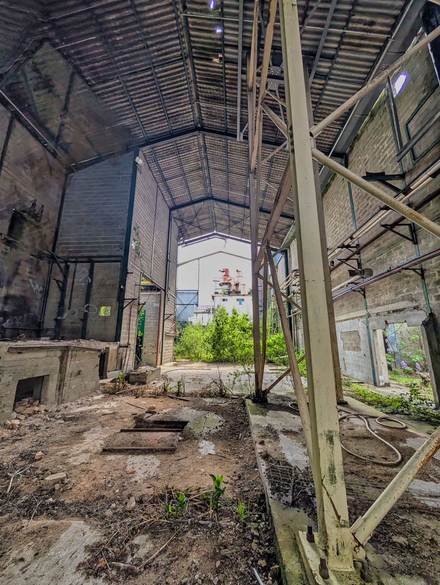 PXL 20250427 100541070