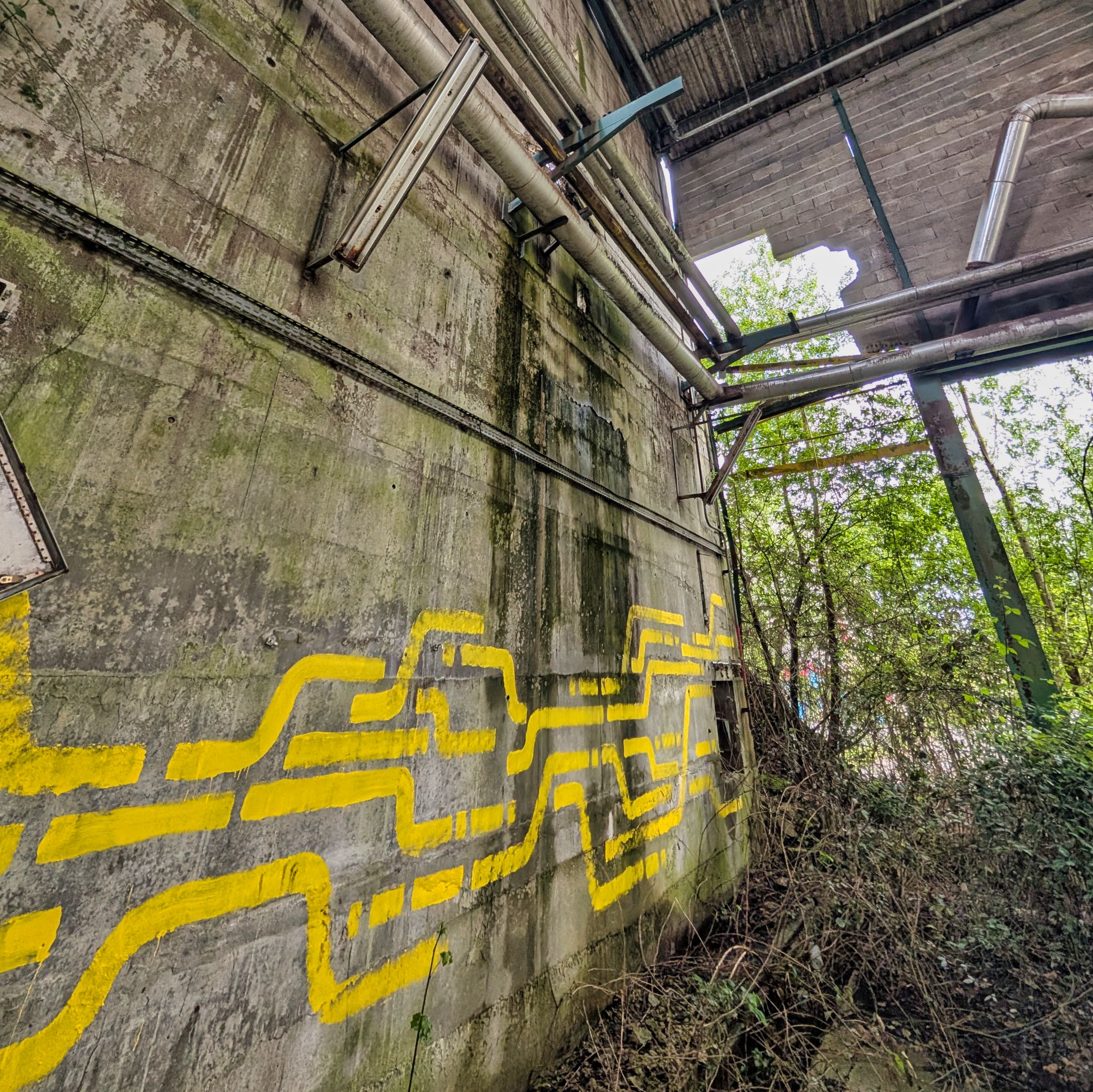 PXL 20250427 100553376