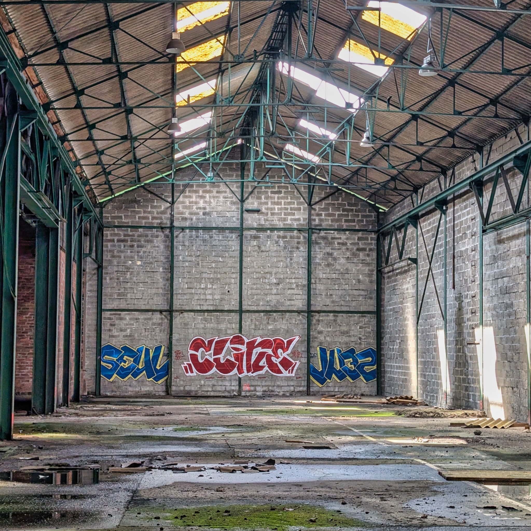 PXL 20250427 114207034