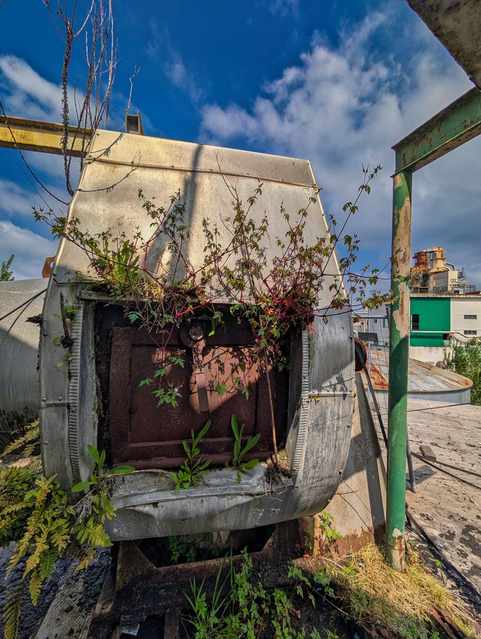 PXL 20250427 125716622