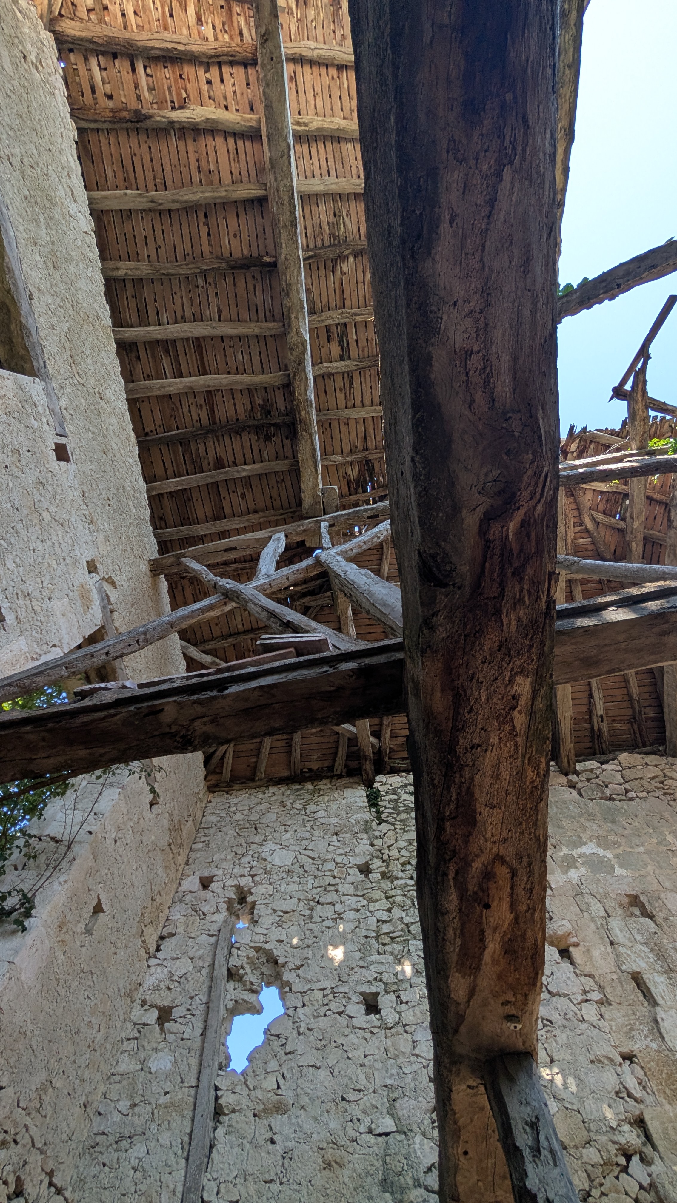 PXL 20260823 093854657