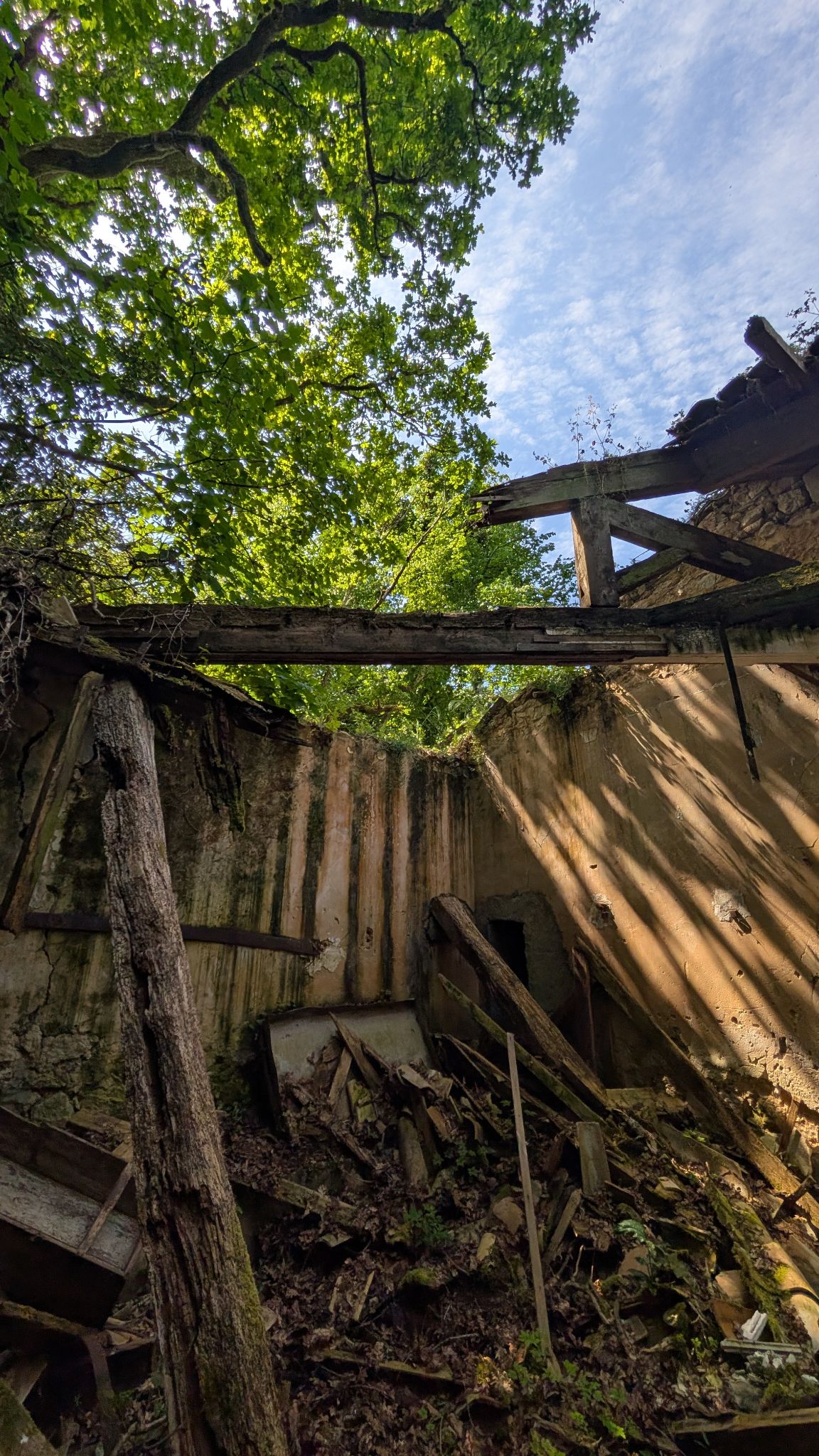 PXL 20260427 123315142