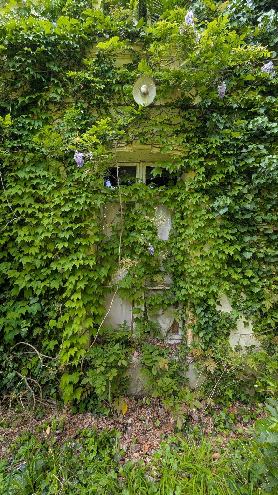 PXL 20260427 124721874