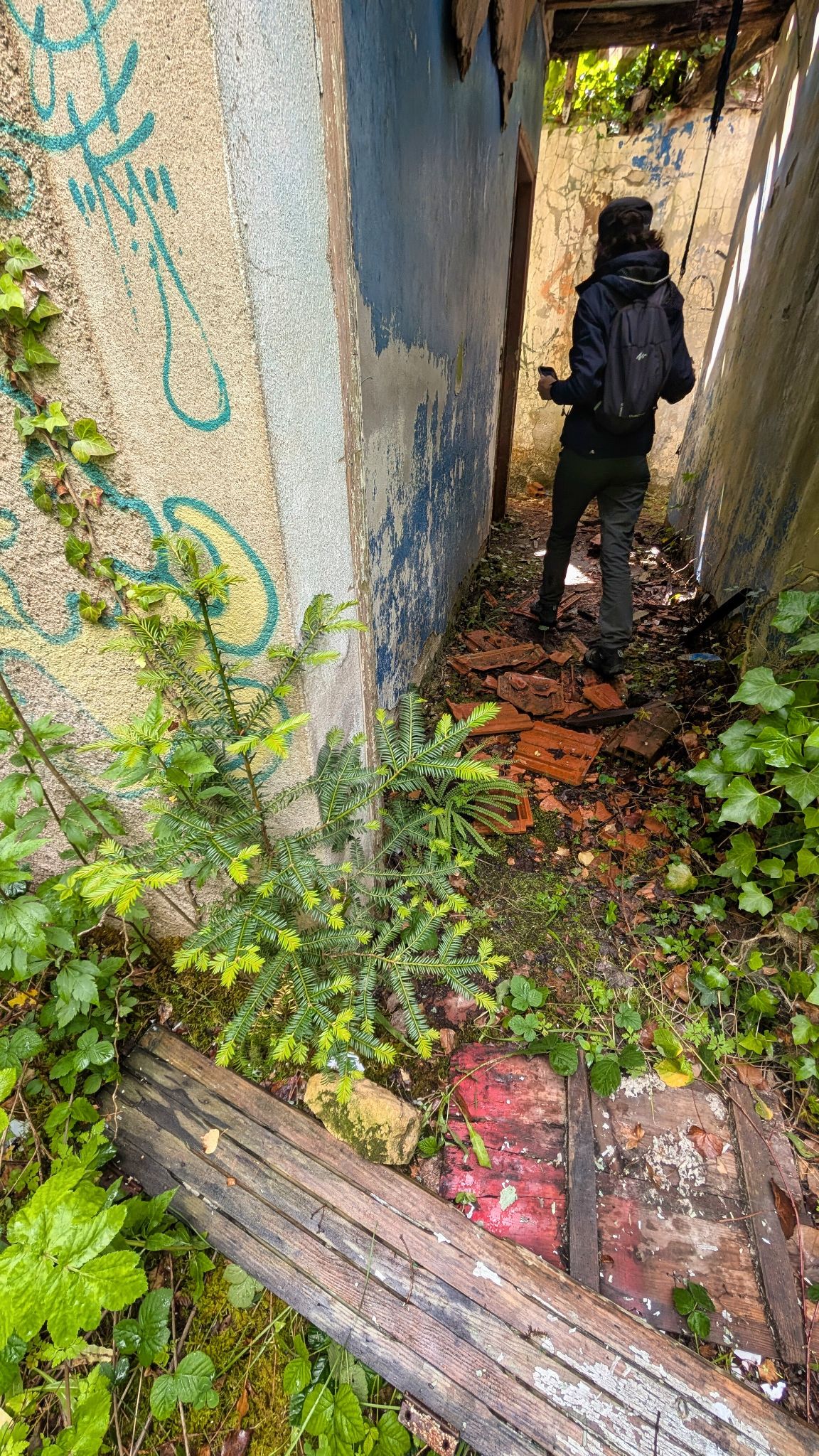 PXL 20260515 135140733