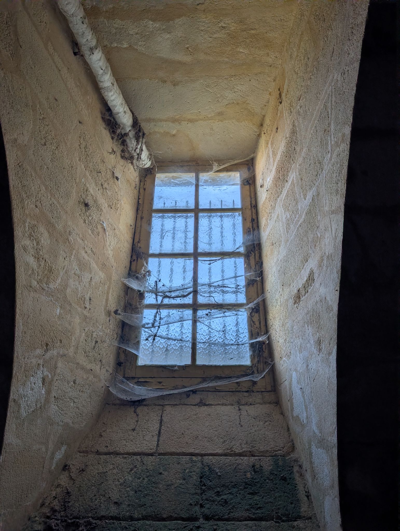 PXL 20260405 121232781