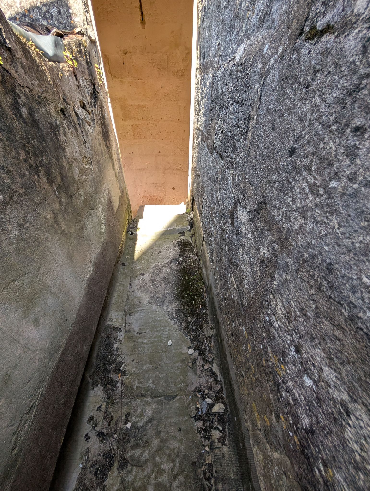 PXL 20260405 123146403