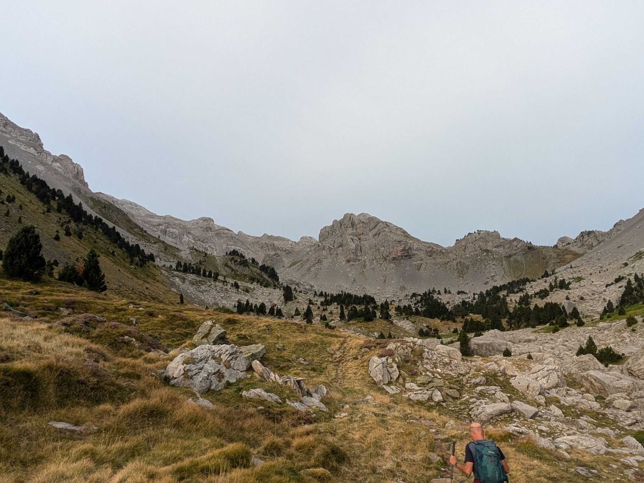 PXL 20240829 065043966