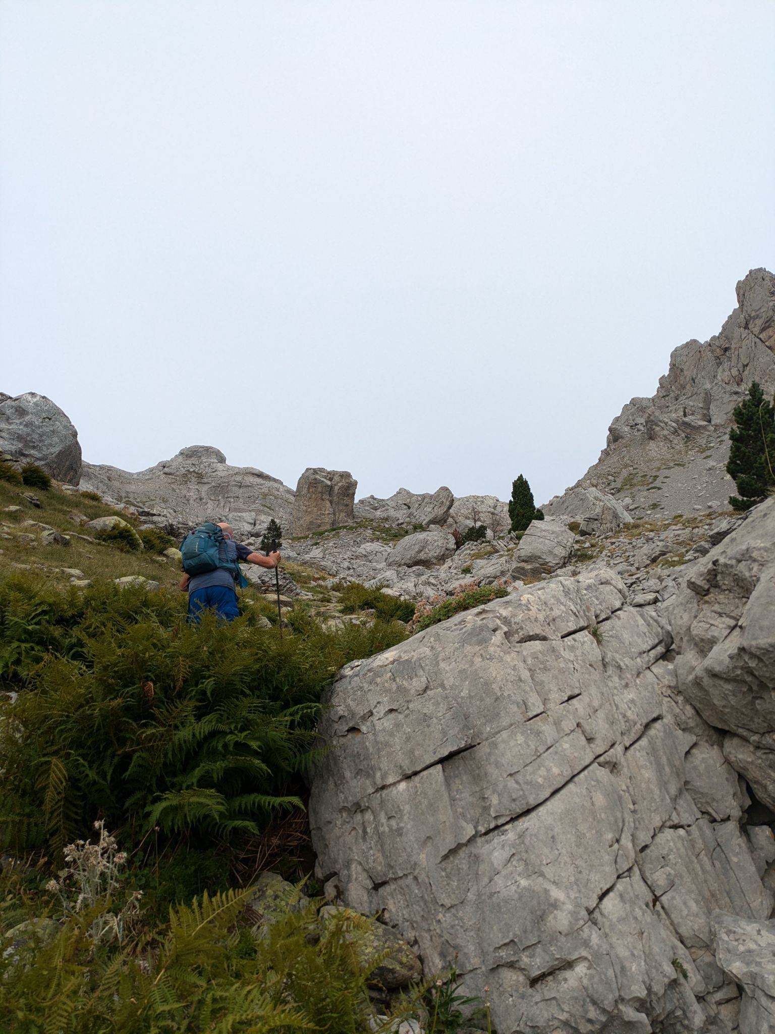 PXL 20240829 071133013