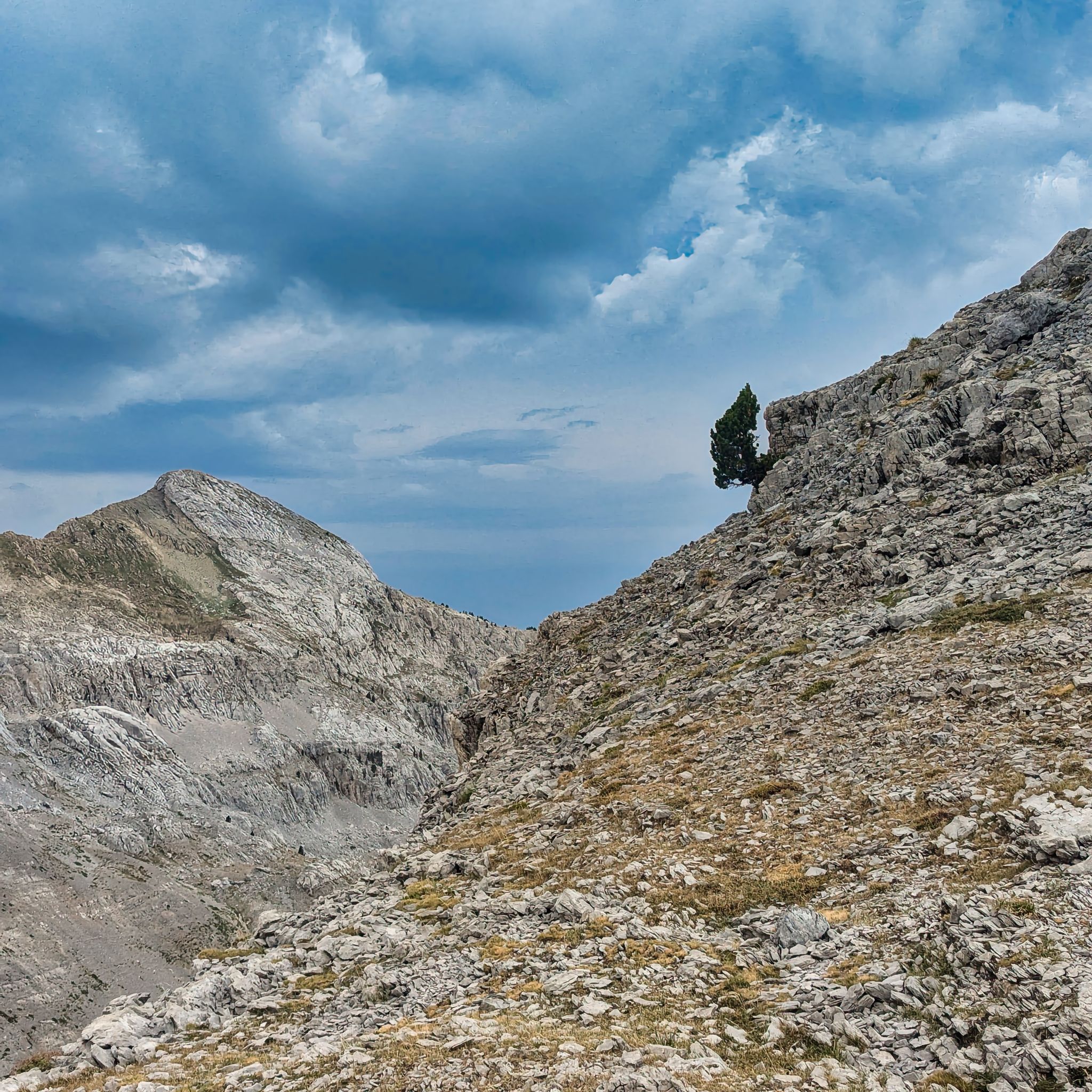 PXL 20240829 074909181