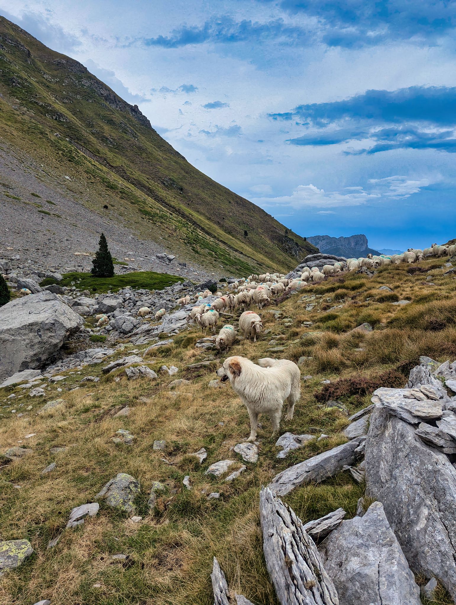 PXL 20240829 104059850