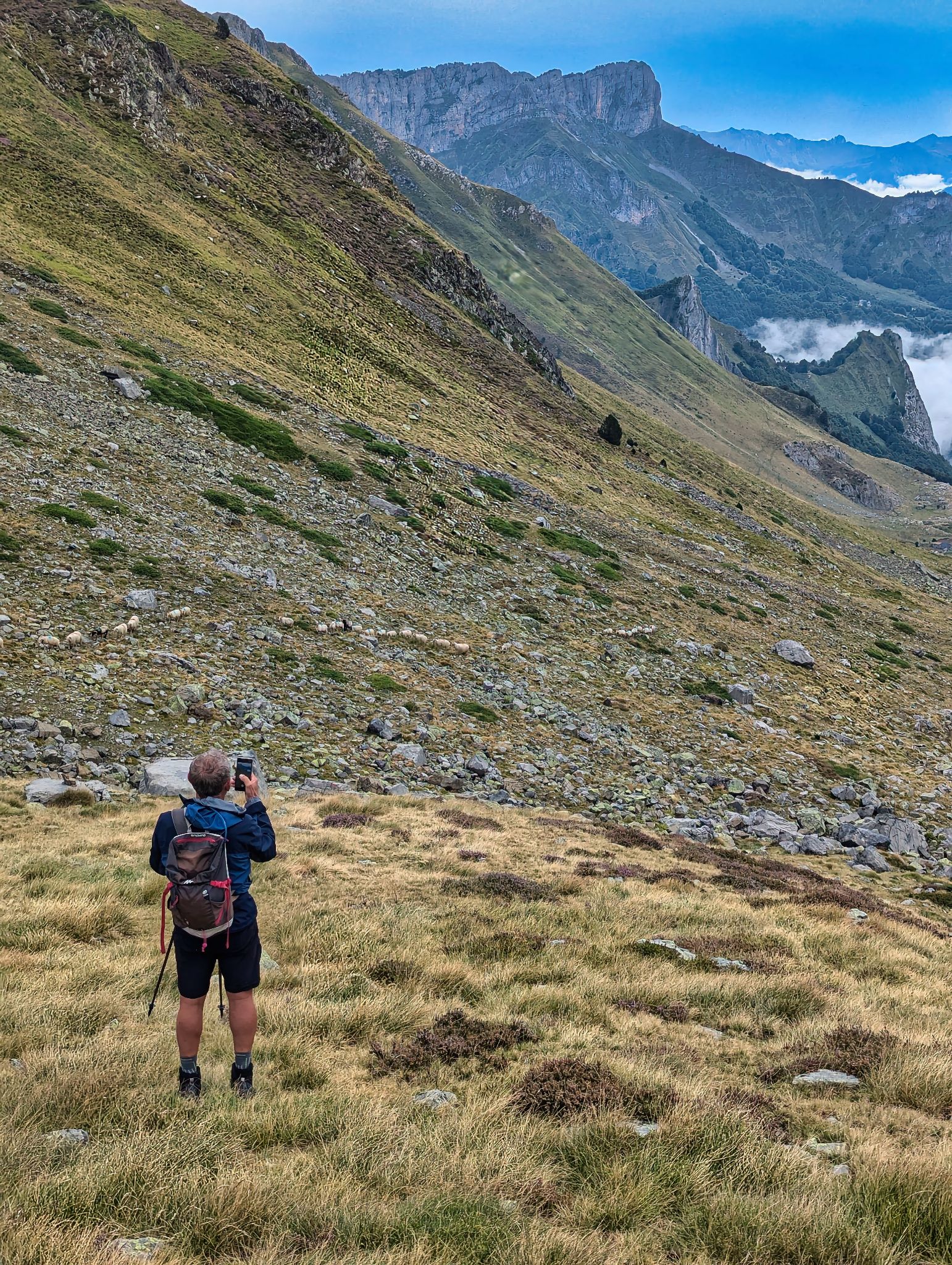 PXL 20240829 104636072