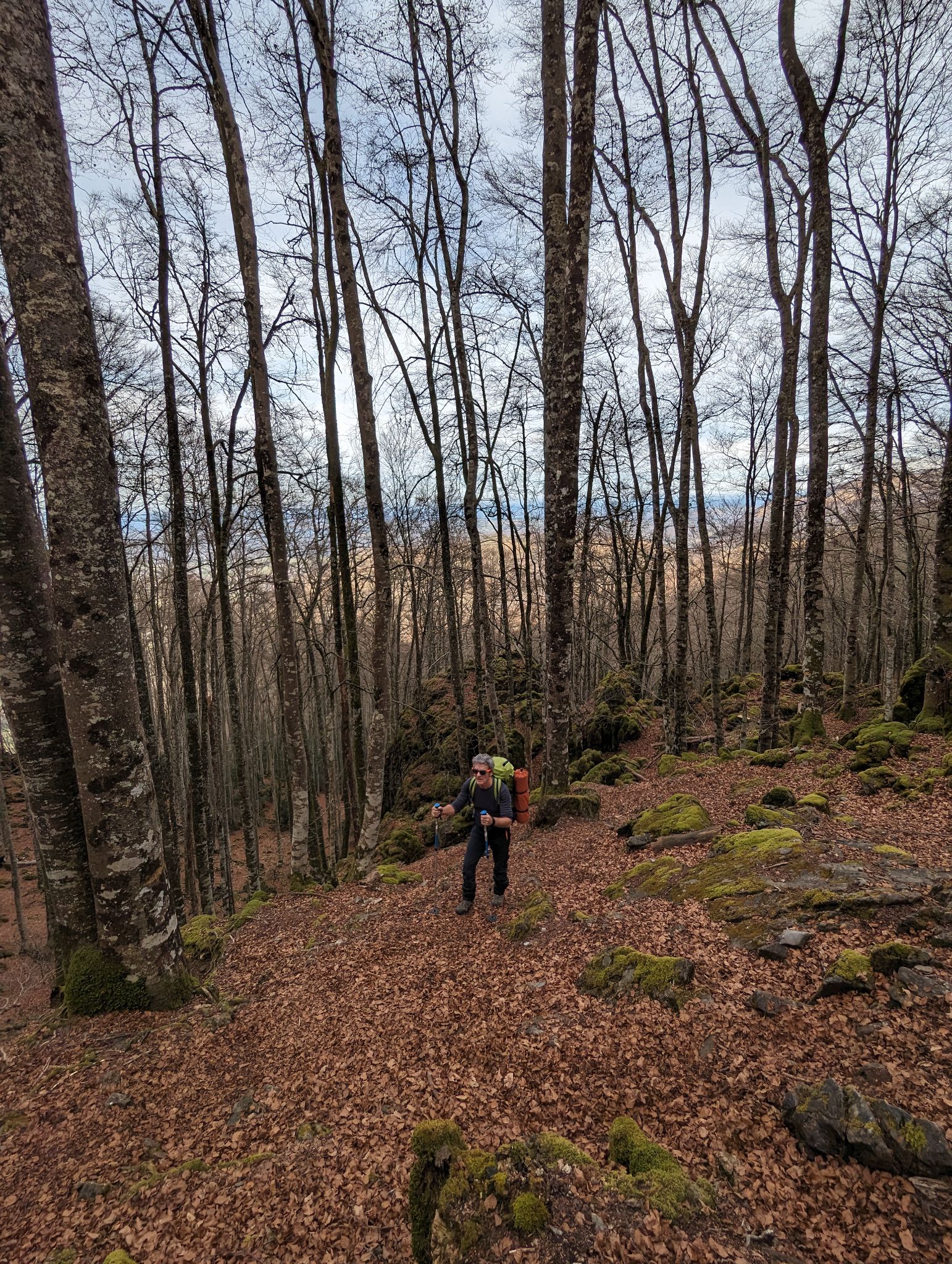 PXL 20240128 144136553