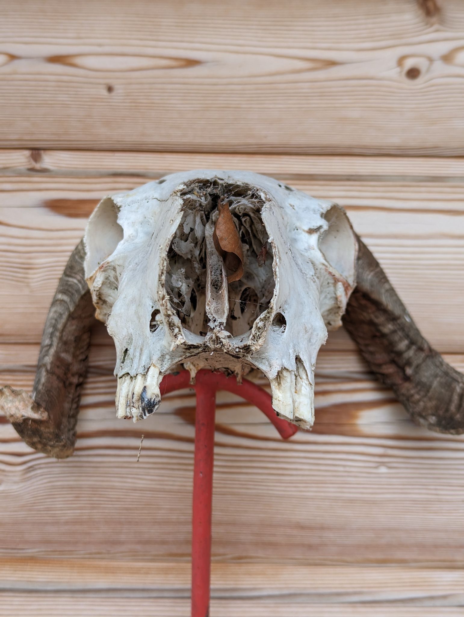 PXL 20240128 151837123