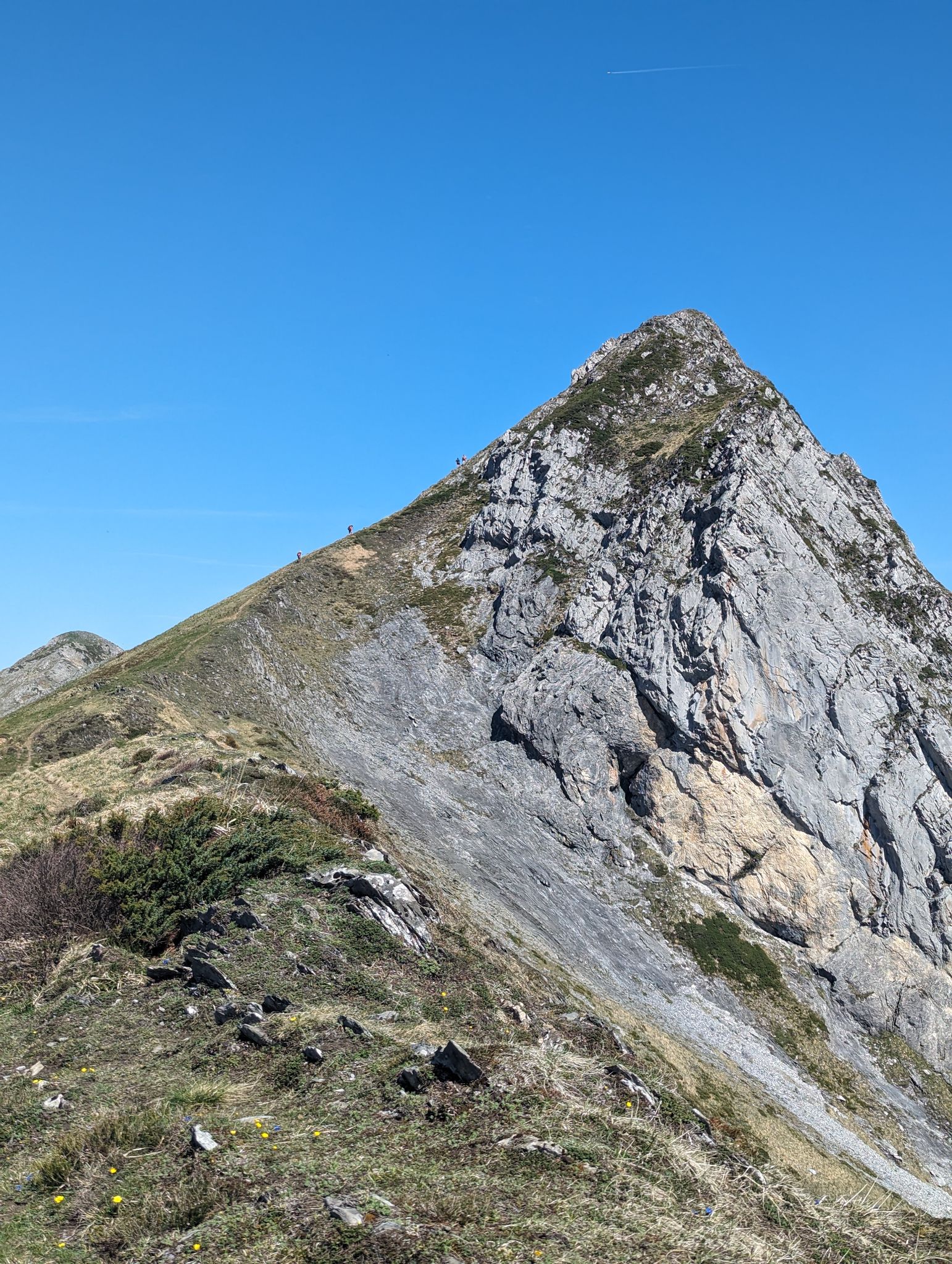 PXL 20240511 085927249