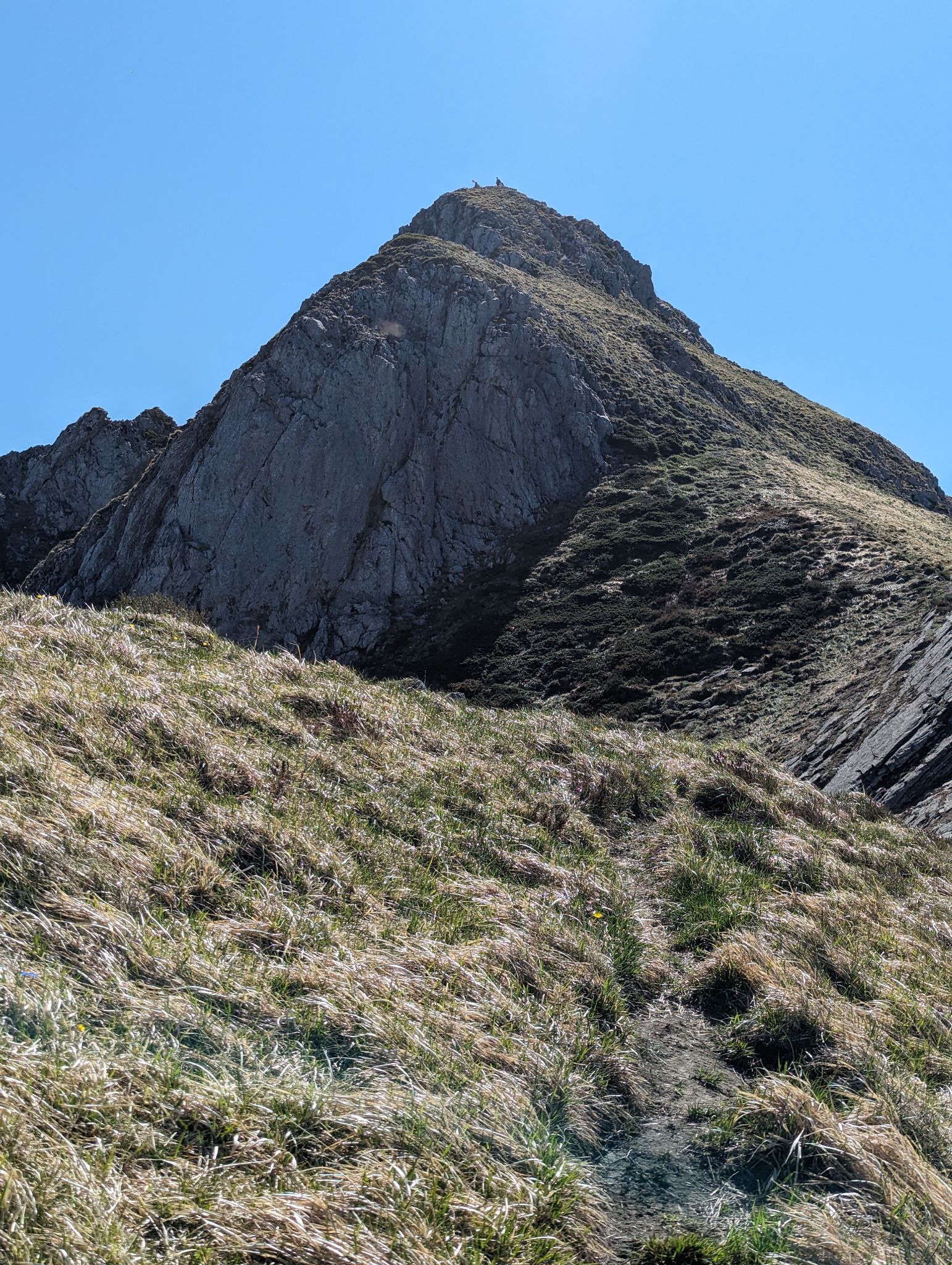 PXL 20240511 093727471