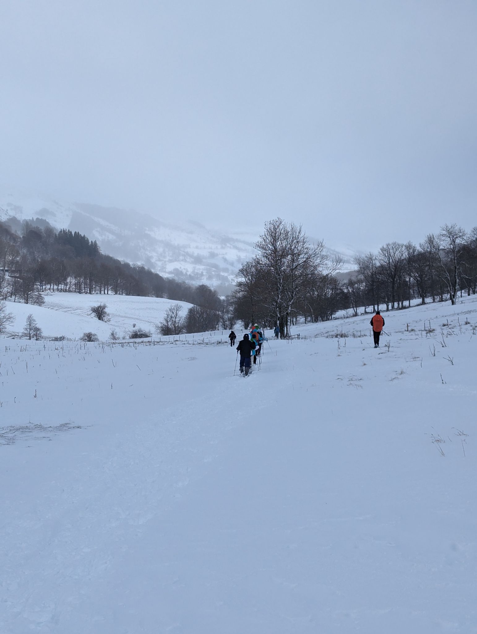 PXL 20240224 104405961