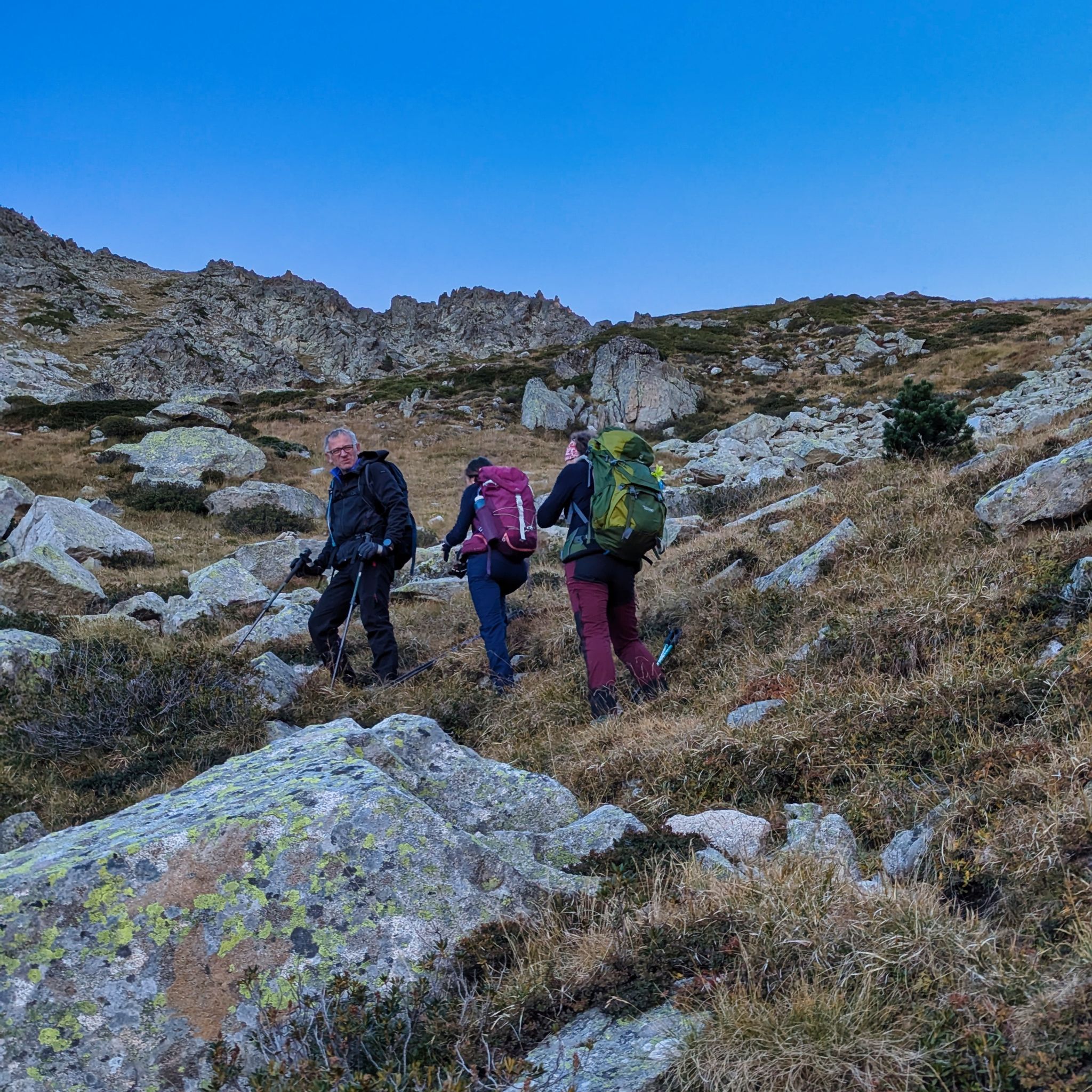 PXL 20240929 080606537