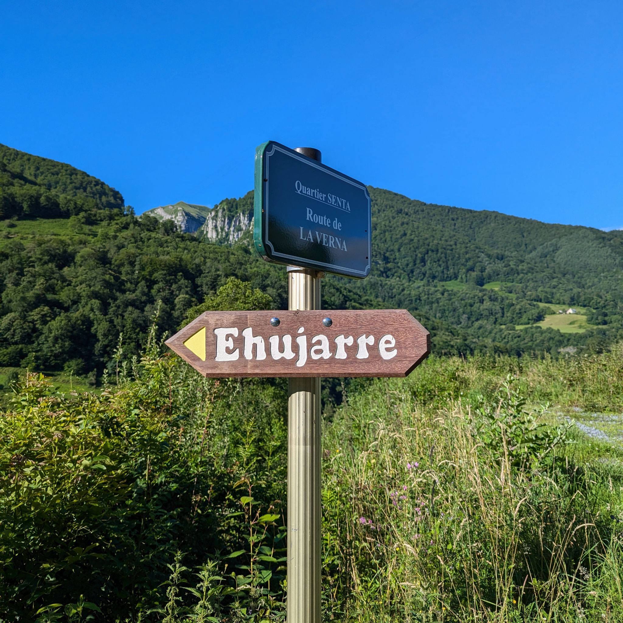 PXL 20240704 071303208