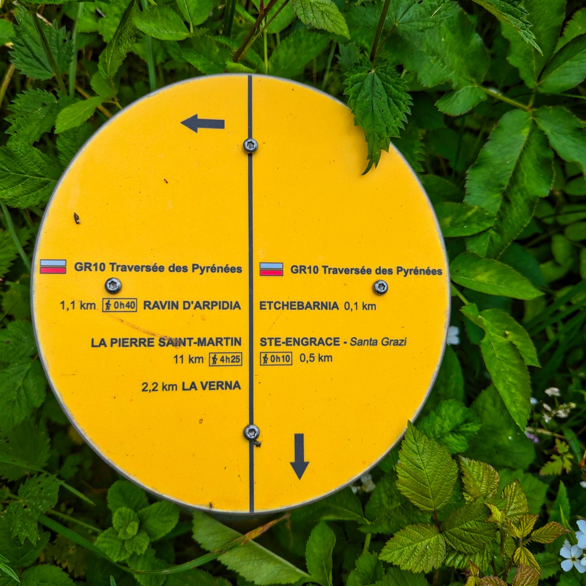 PXL 20240704 130516529