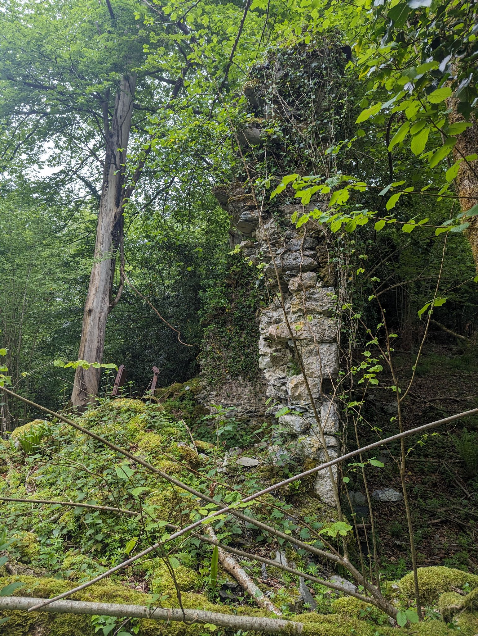 PXL 20240512 110439375