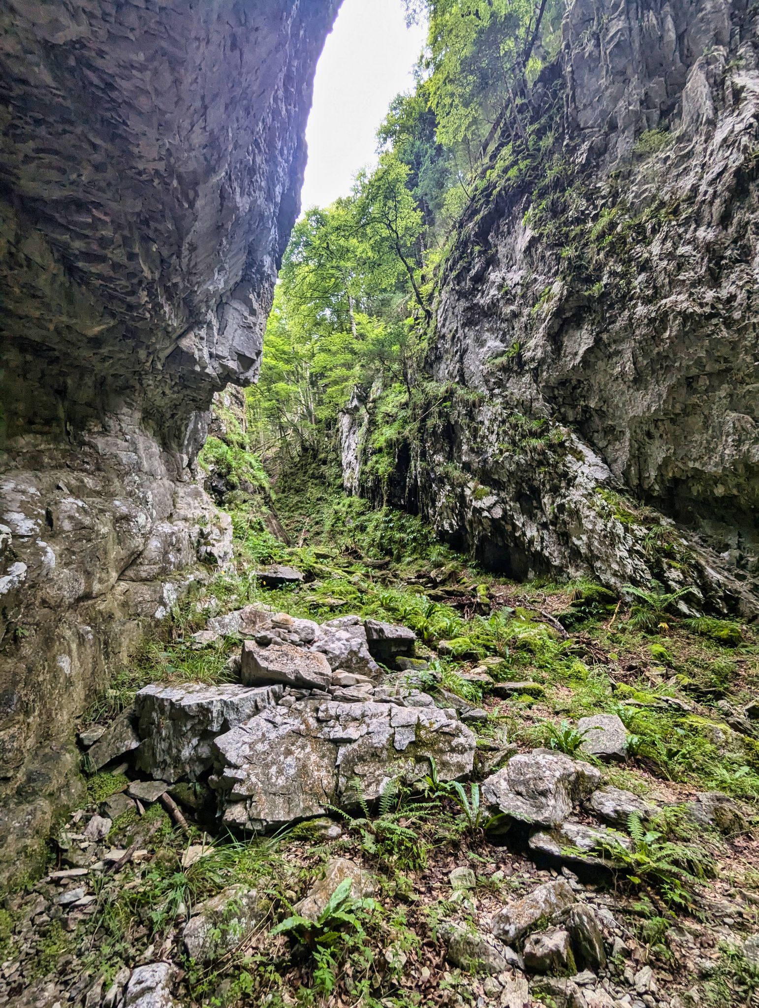 PXL 20240817 073312942