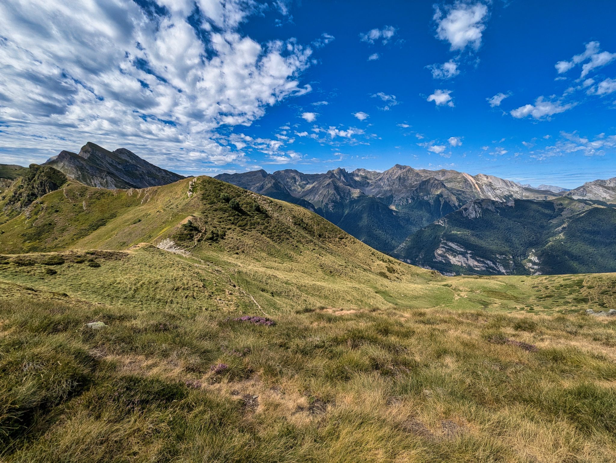 PXL 20240817 095614663