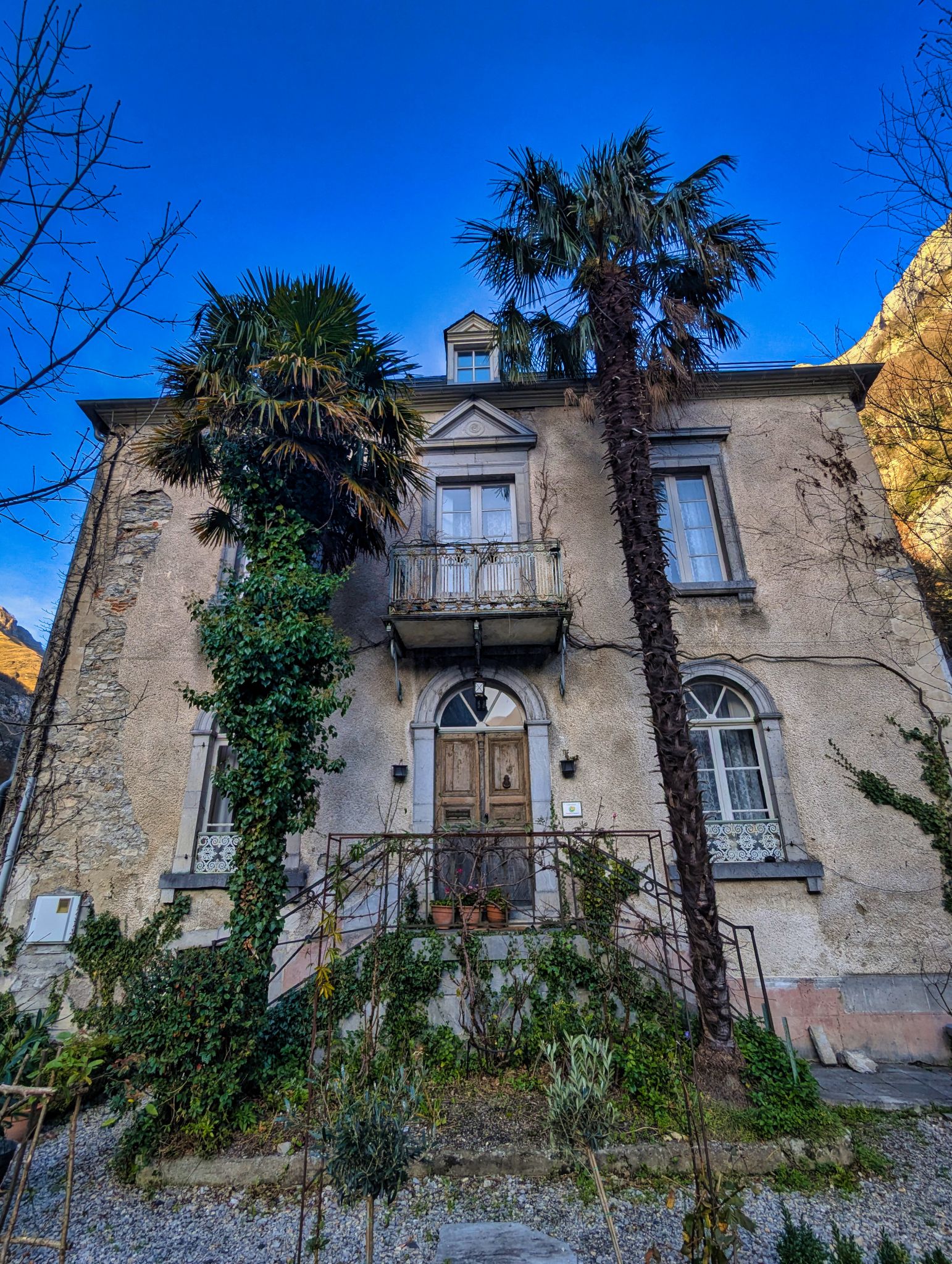 PXL 20241130 141511998