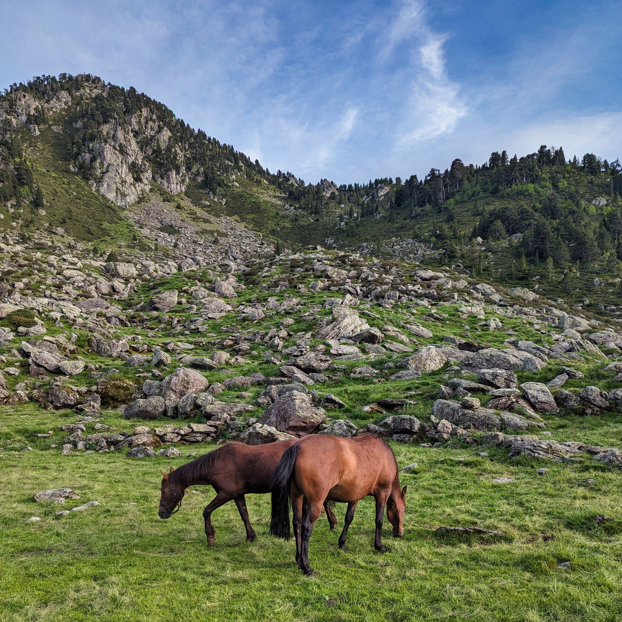 PXL 20240613 181347769