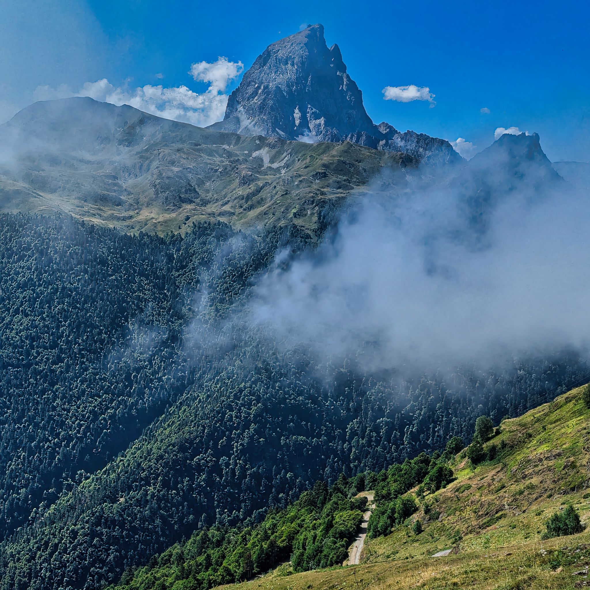 PXL 20240816 103307571