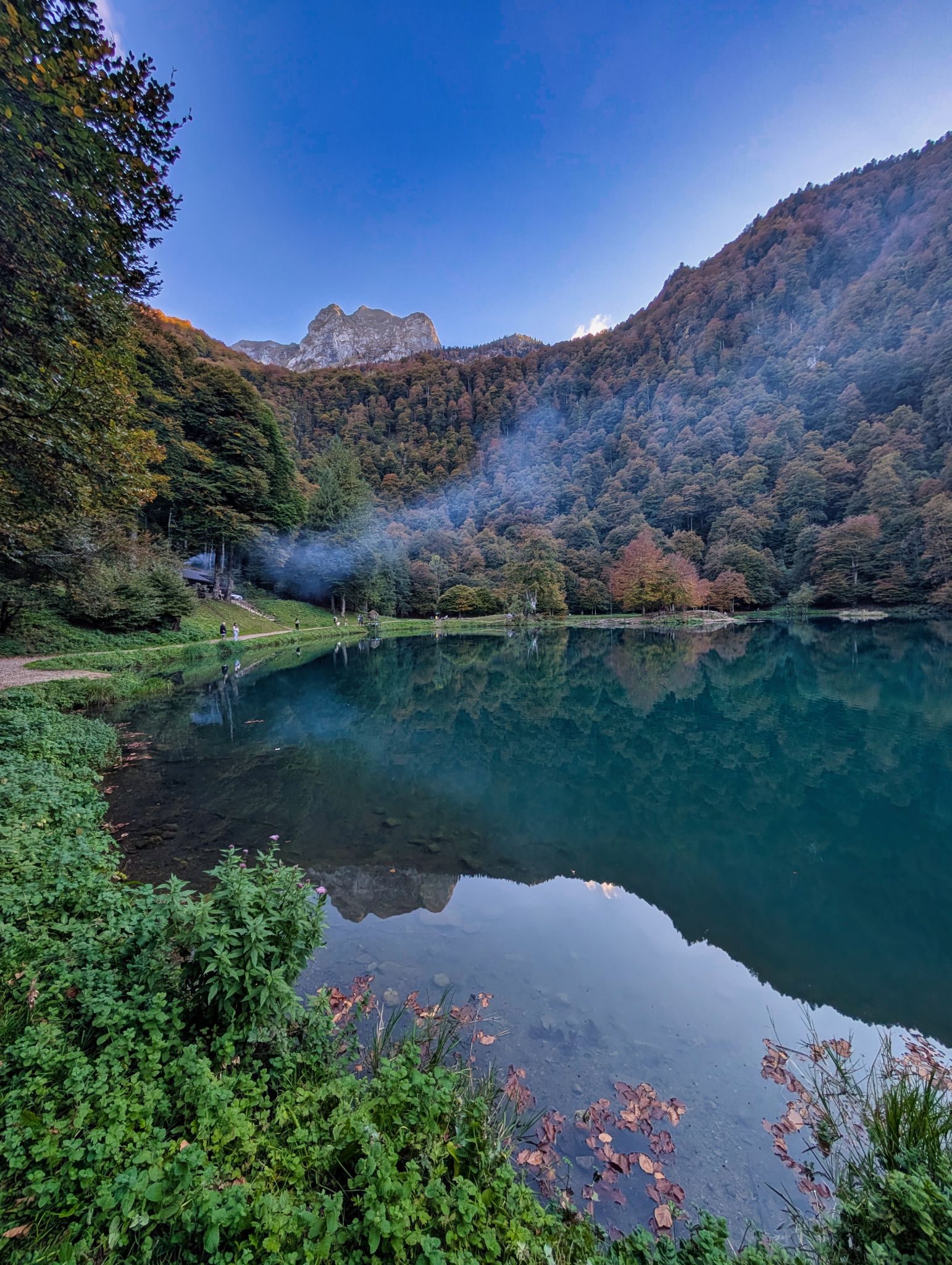 PXL 20251011 153355547