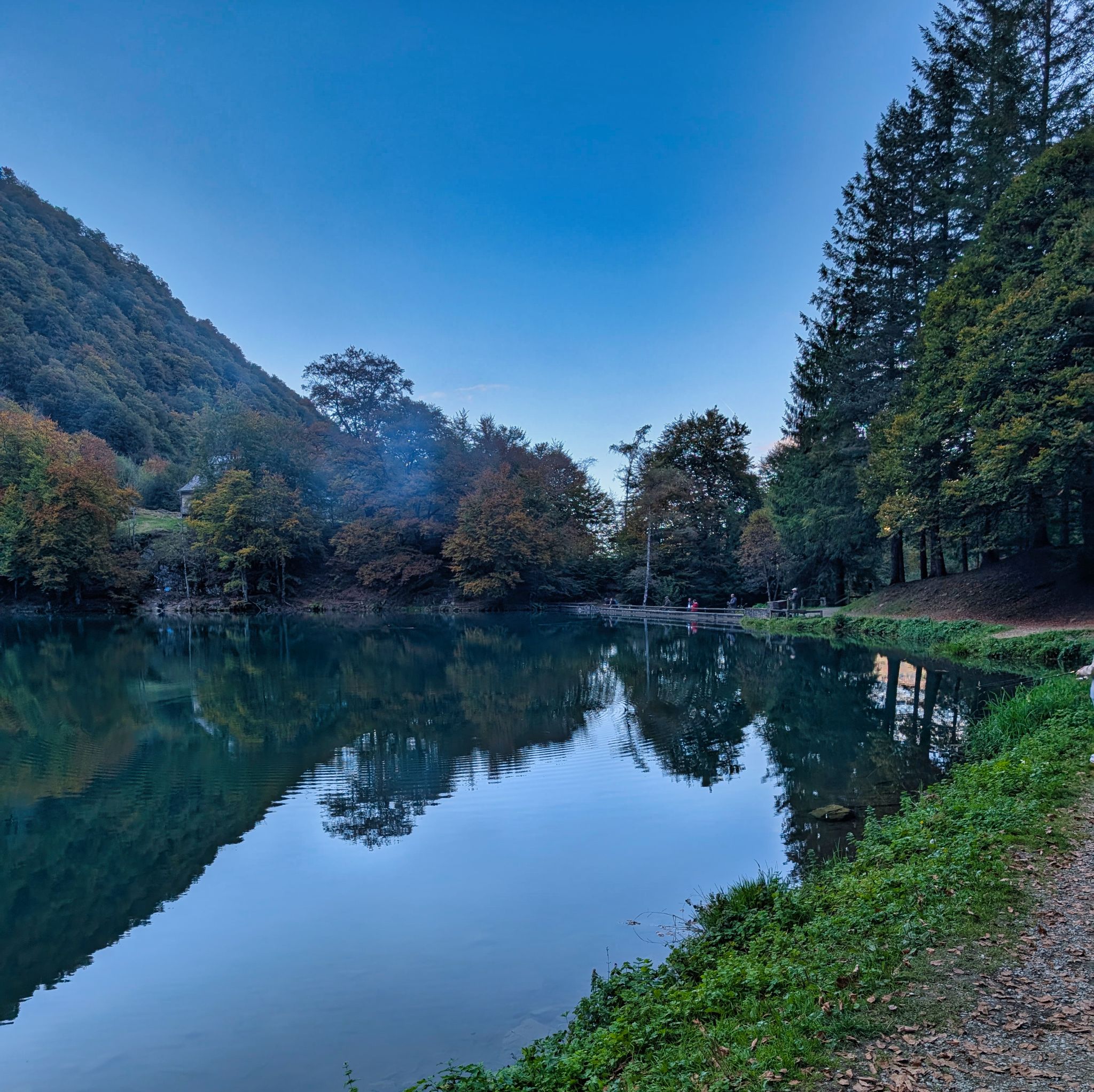 PXL 20251011 153450880