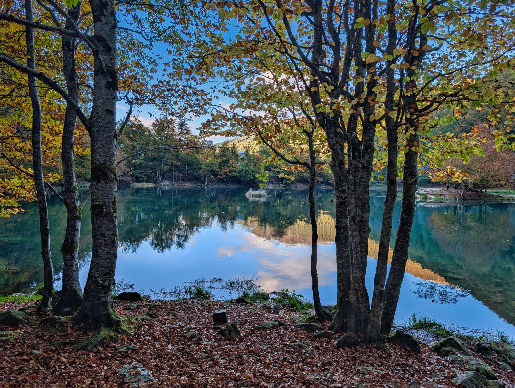 PXL 20251011 153820500