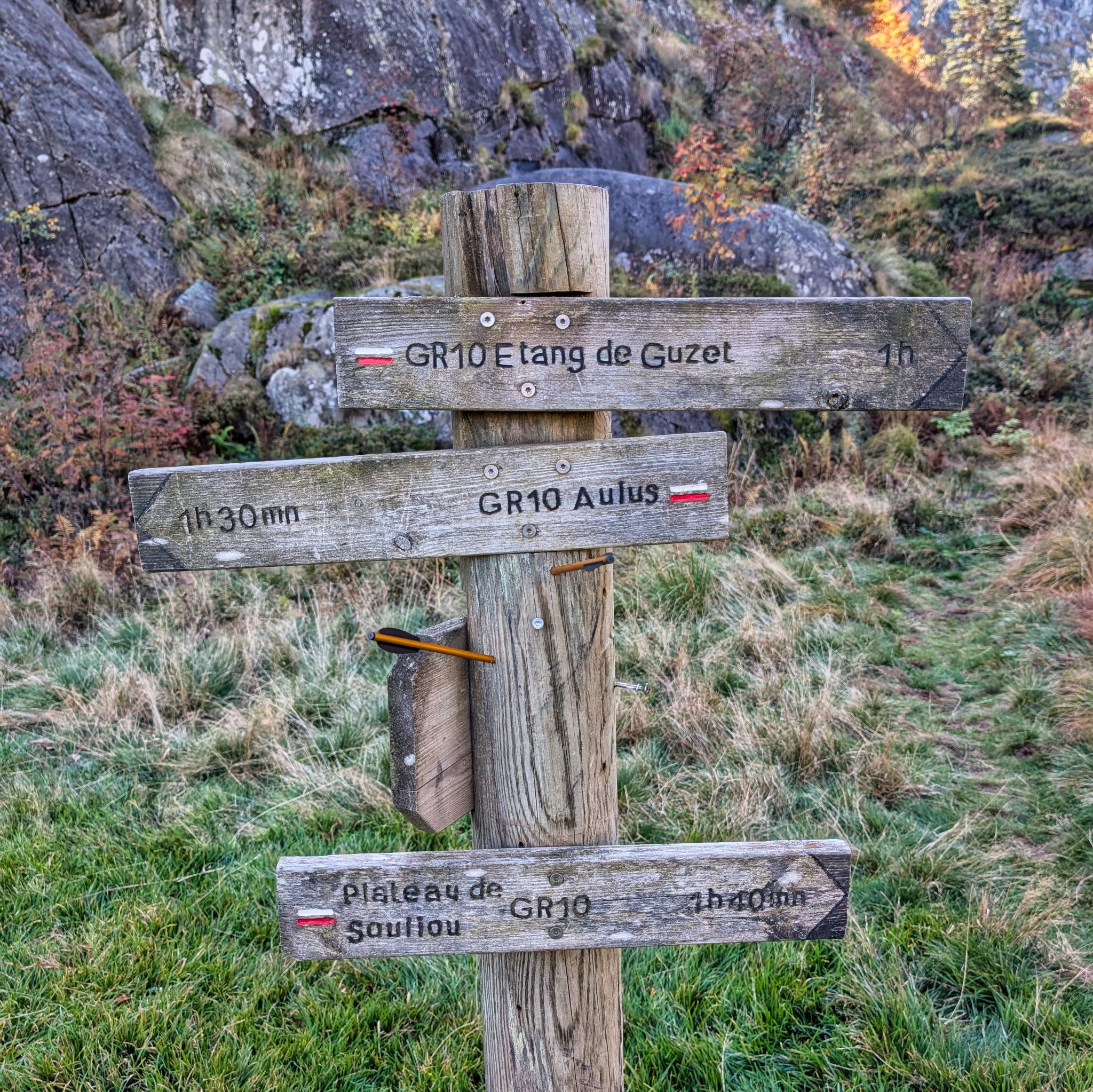 PXL 20251012 091656657