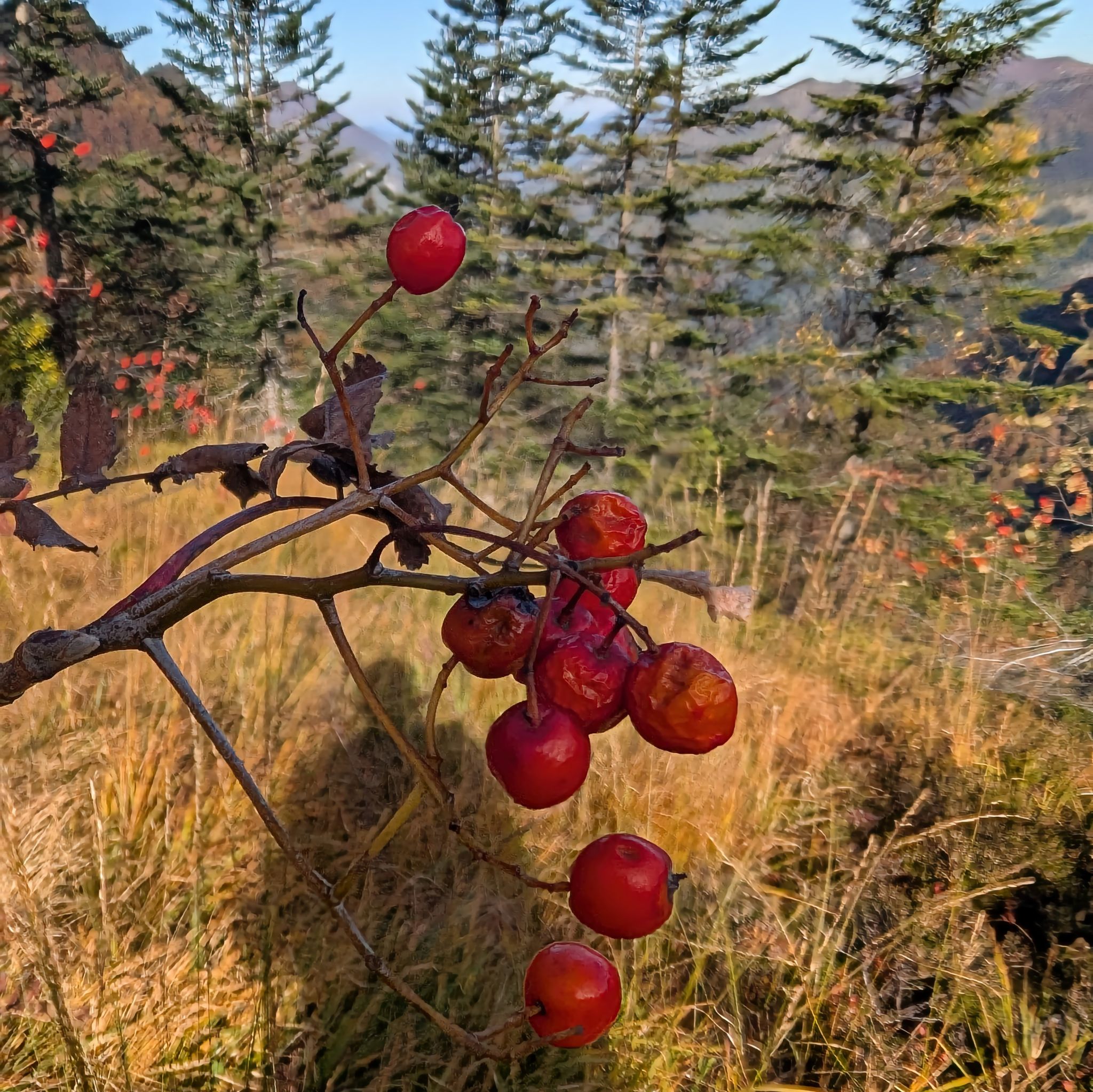 PXL 20251012 092756925