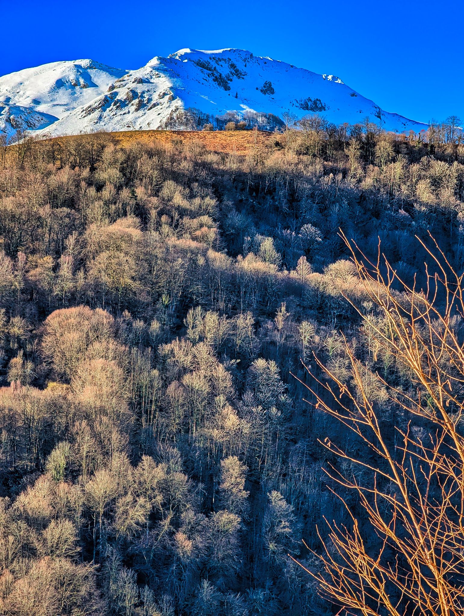 PXL 20250202 085303252