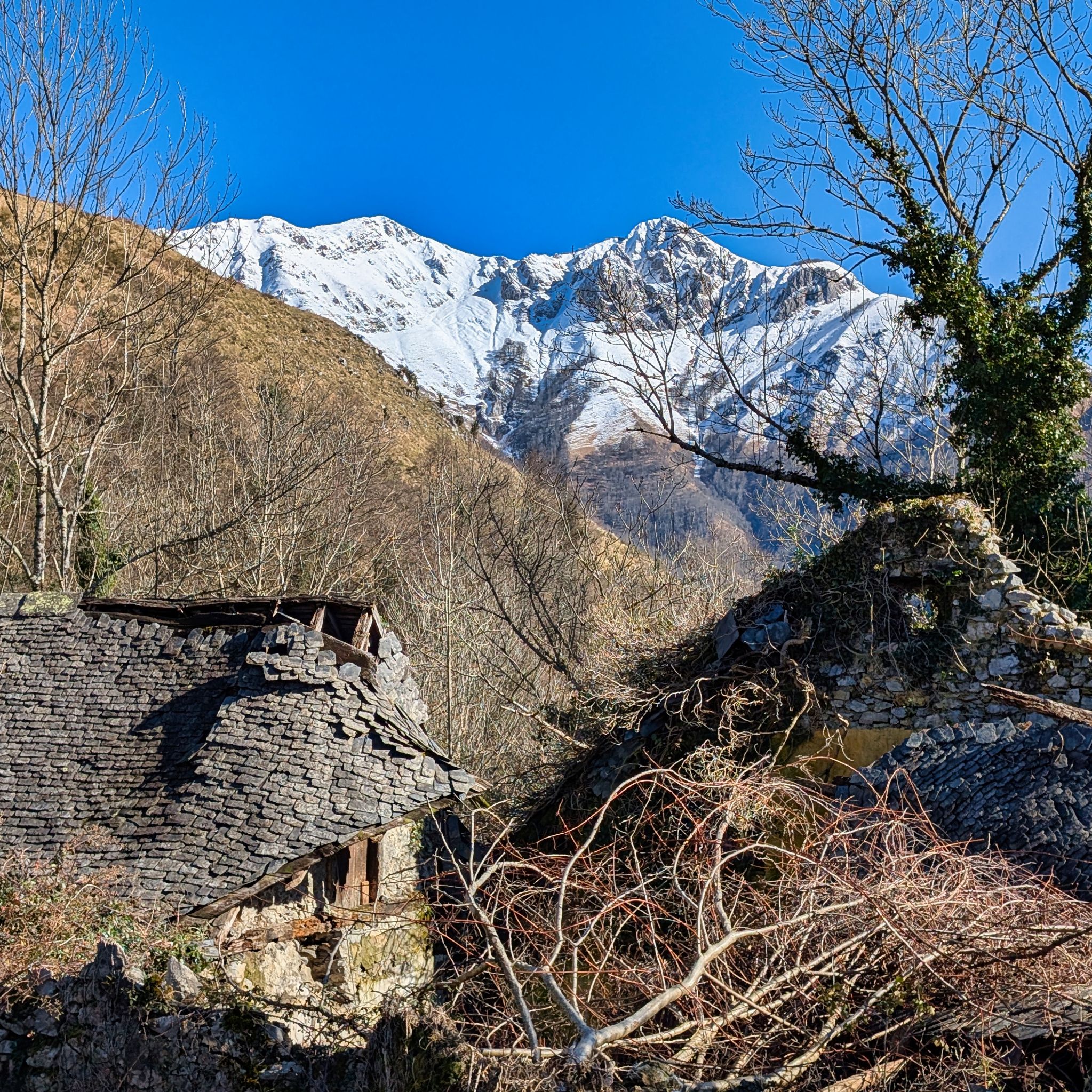 PXL 20250202 120254065